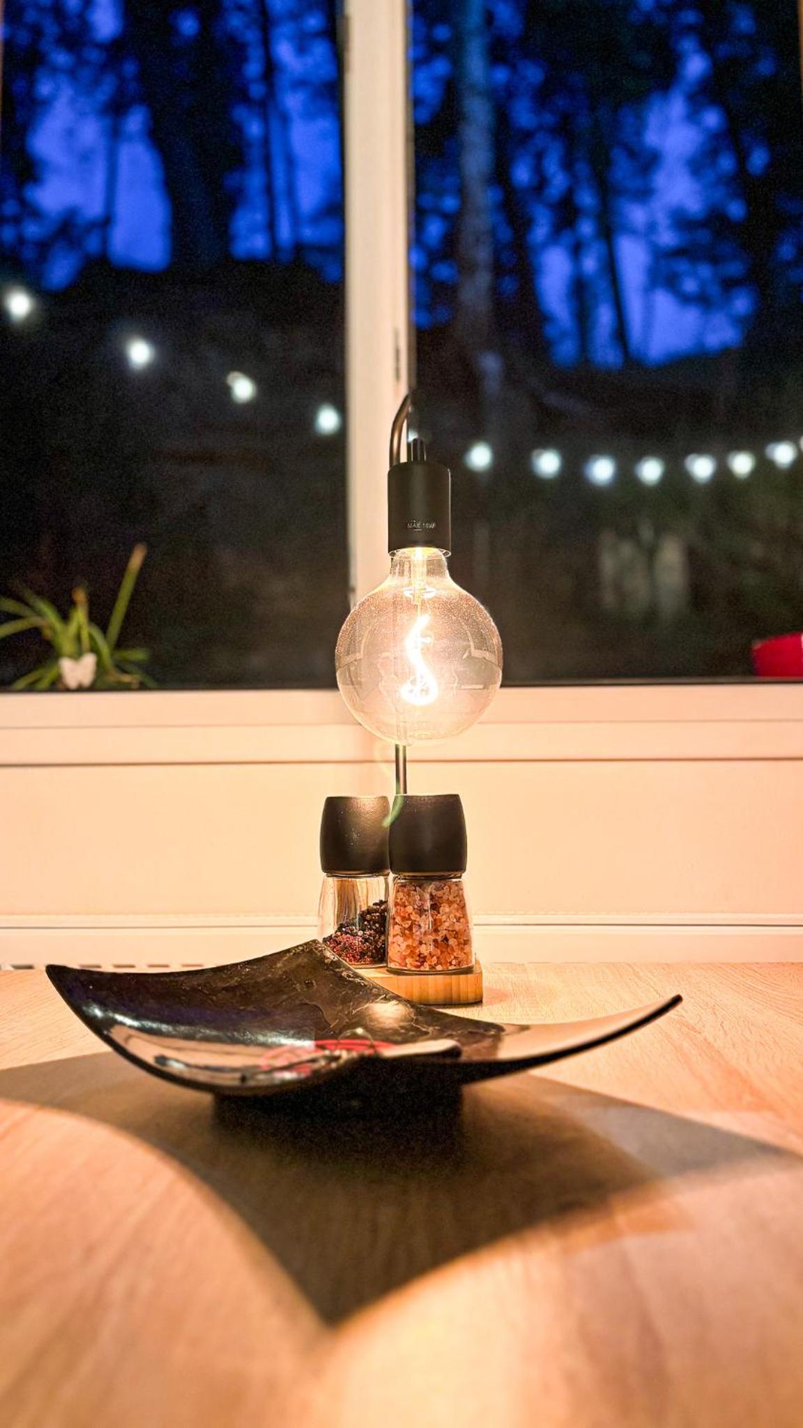 Remote Work Friendly Zahradní apartmán u jezera