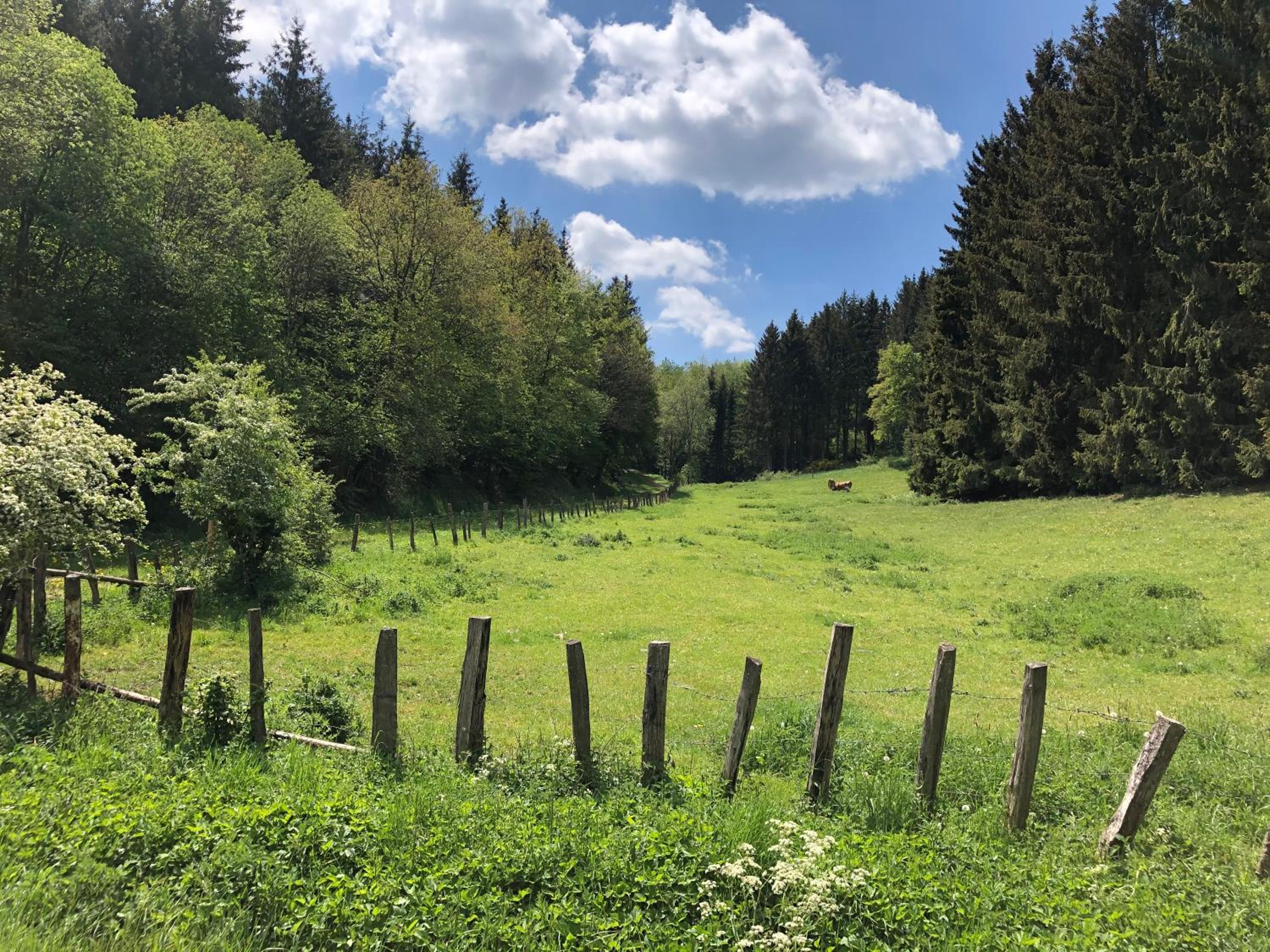 Holzhaus Onkel Fritz mit Sauna und Whirlwanne