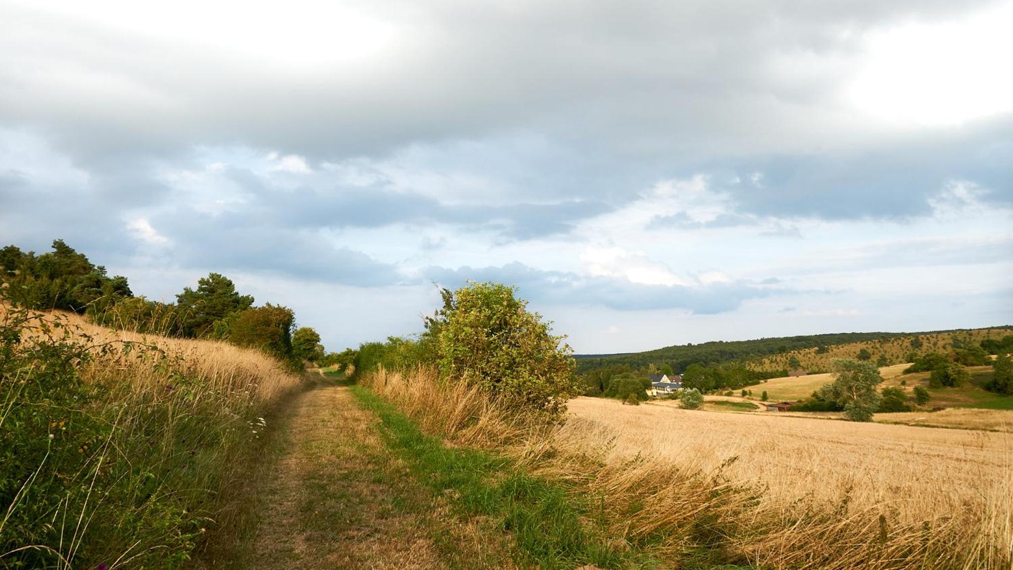 Holzhaus Onkel Fritz mit Sauna und Whirlwanne