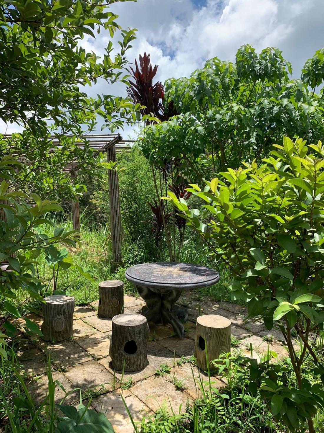 PuBin Spice Hills view 5