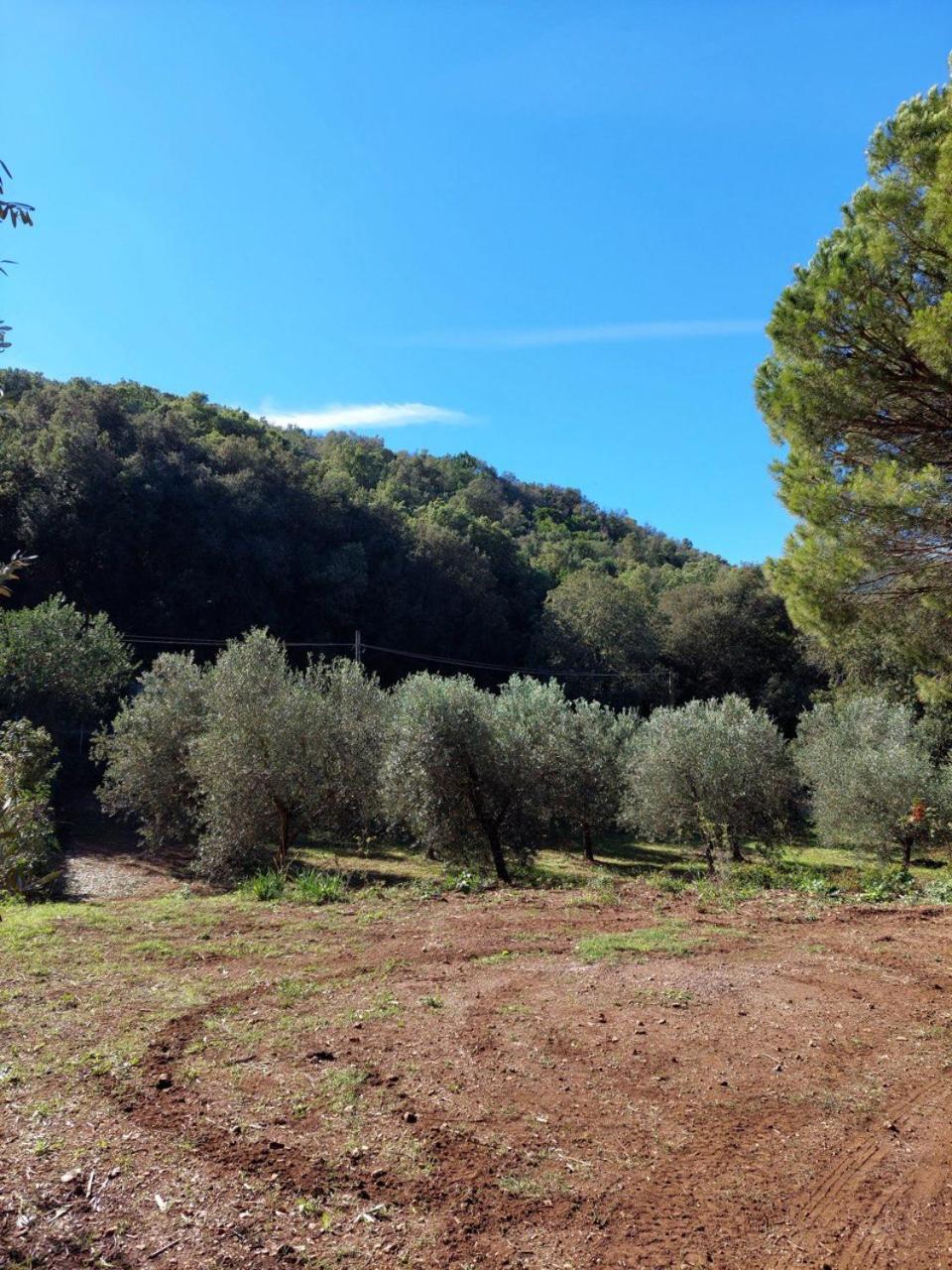 Agriturismo Paradisa
