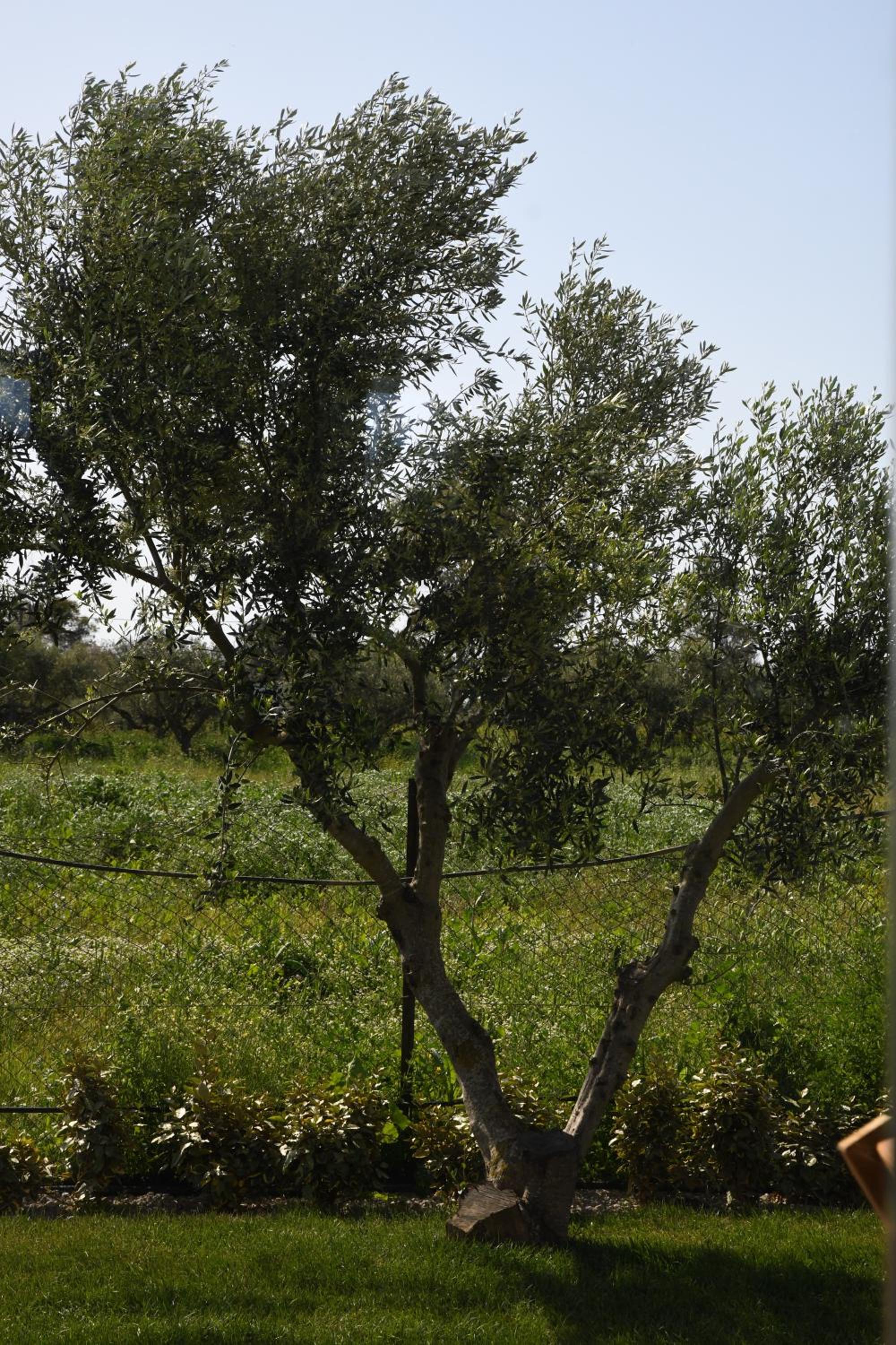 Photo 26