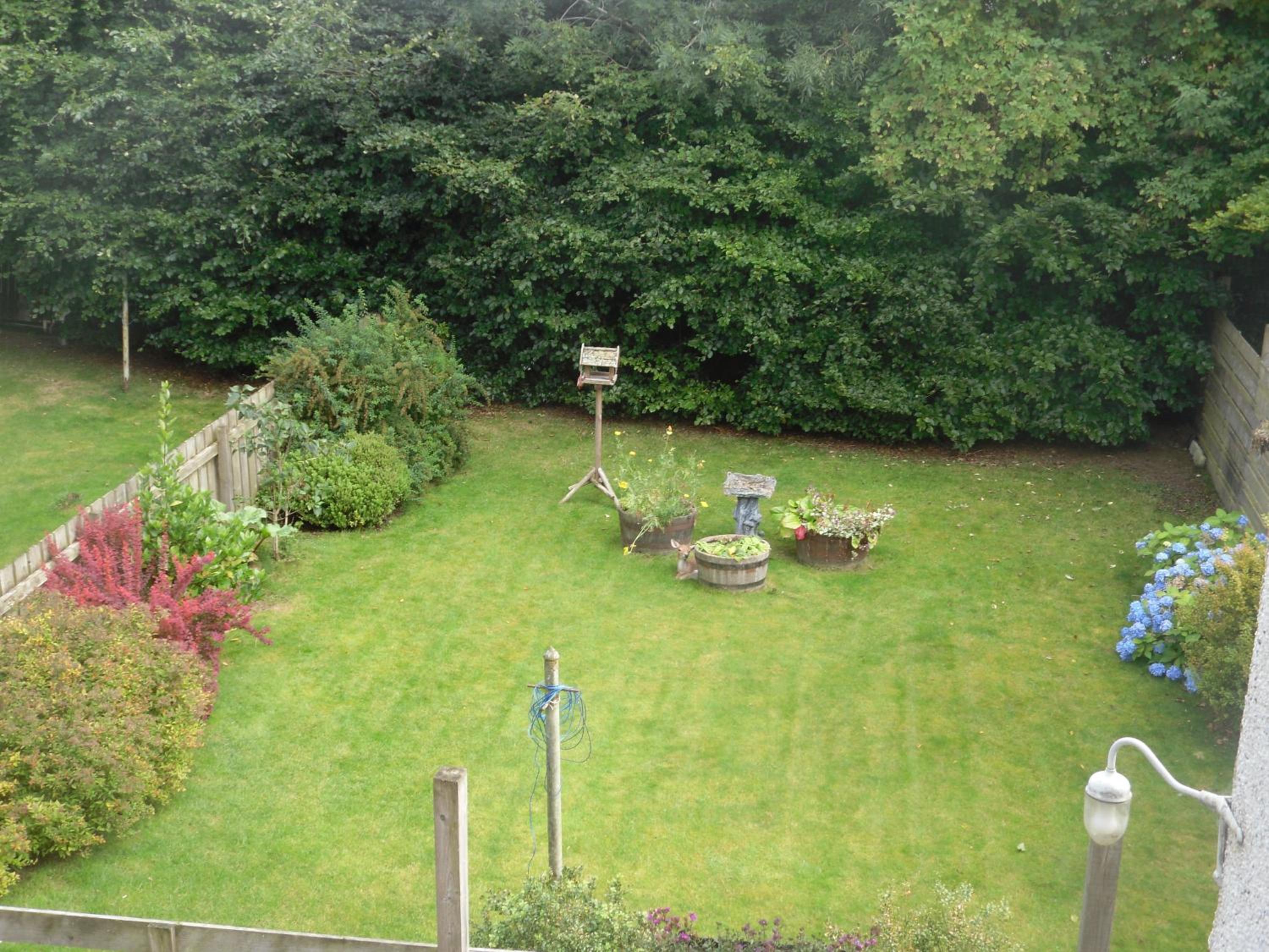 Photo 43
