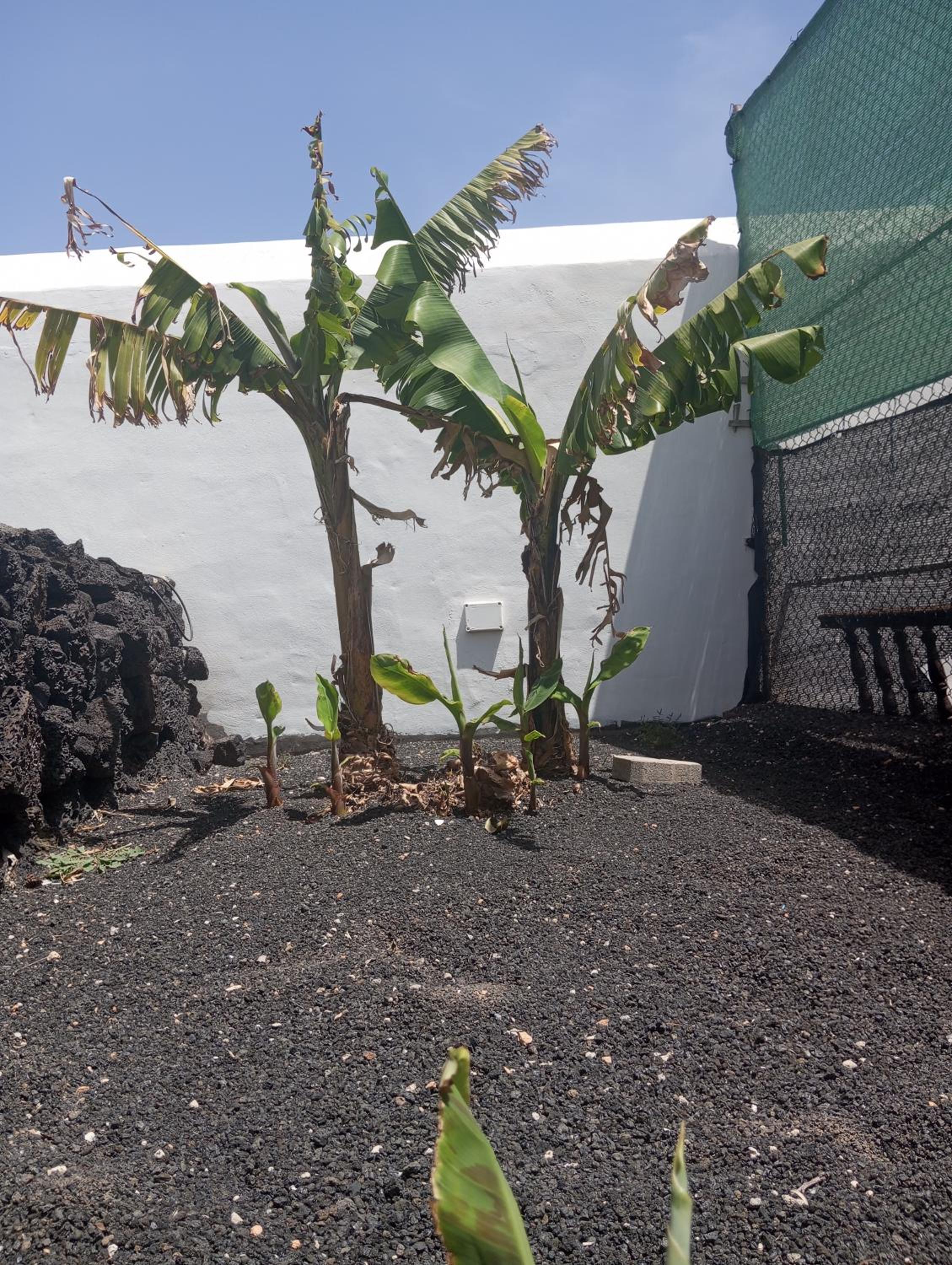 Casa Siempreviva