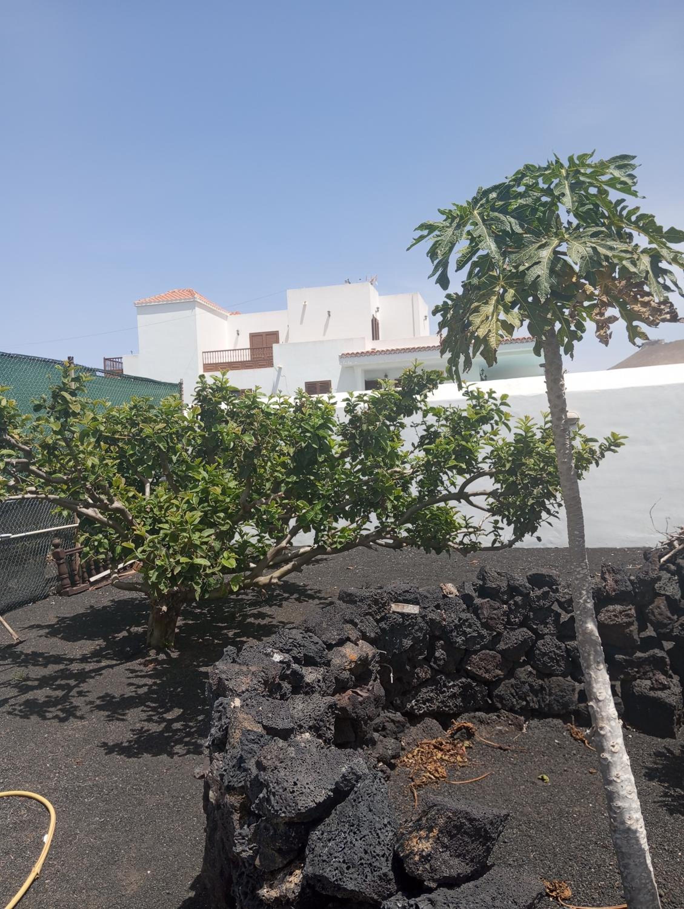 Casa Siempreviva