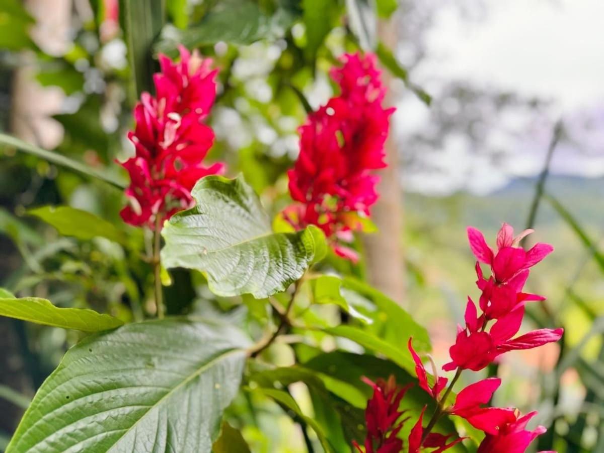 Natureza e conforto em São Pedro da Serra
