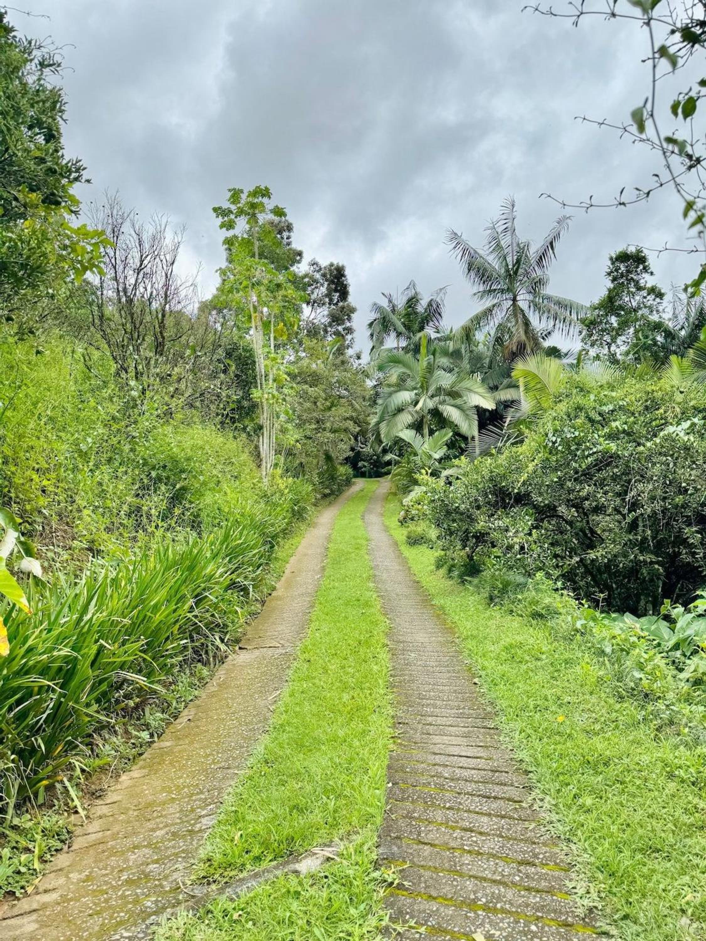 Natureza e conforto em São Pedro da Serra