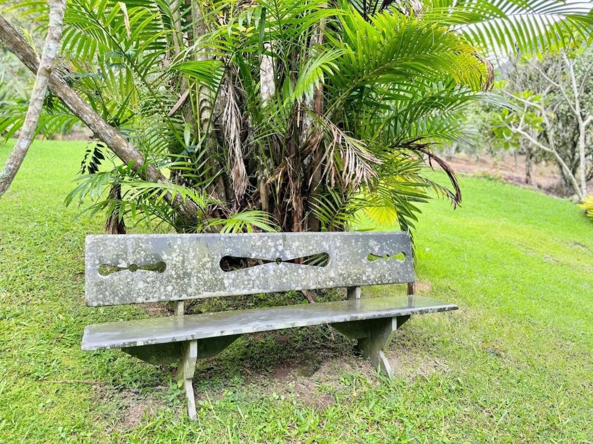 Natureza e conforto em São Pedro da Serra