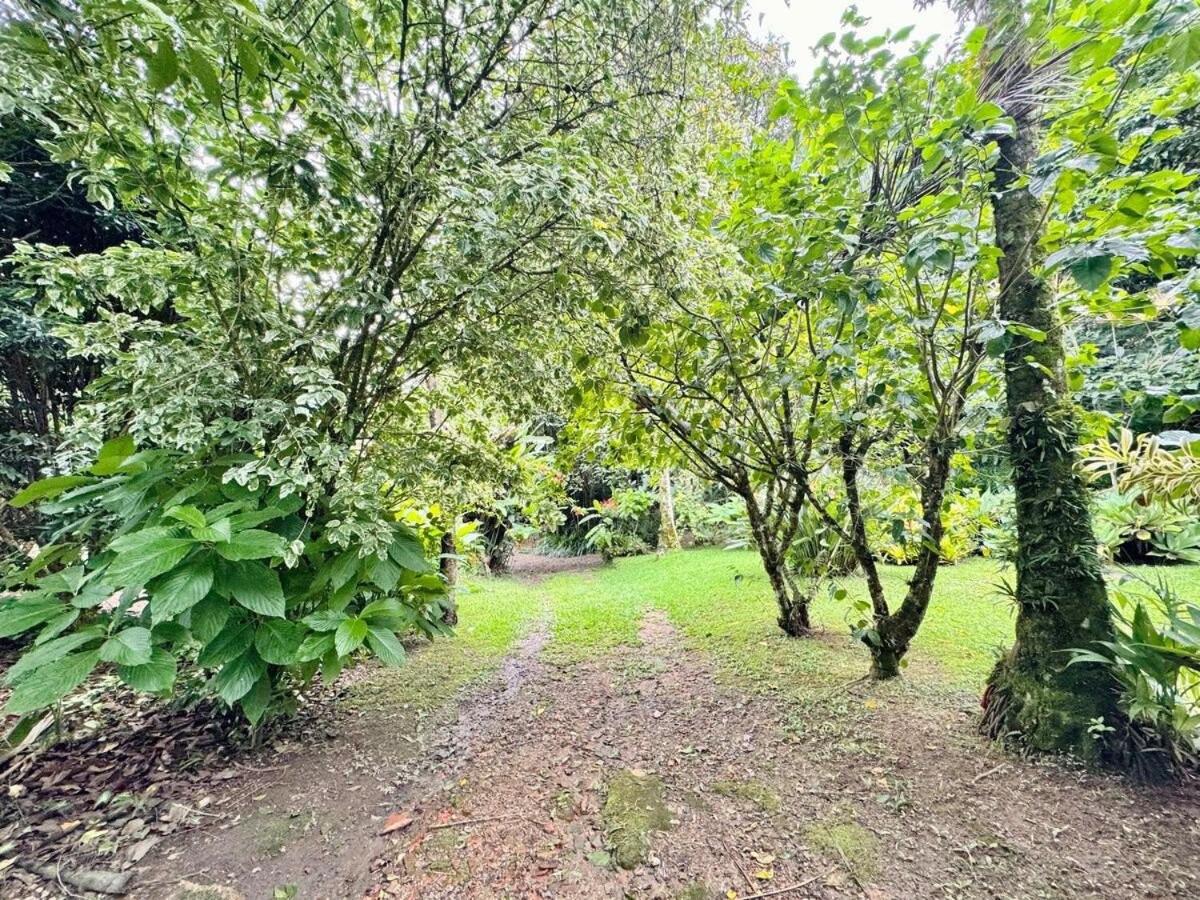 Natureza e conforto em São Pedro da Serra