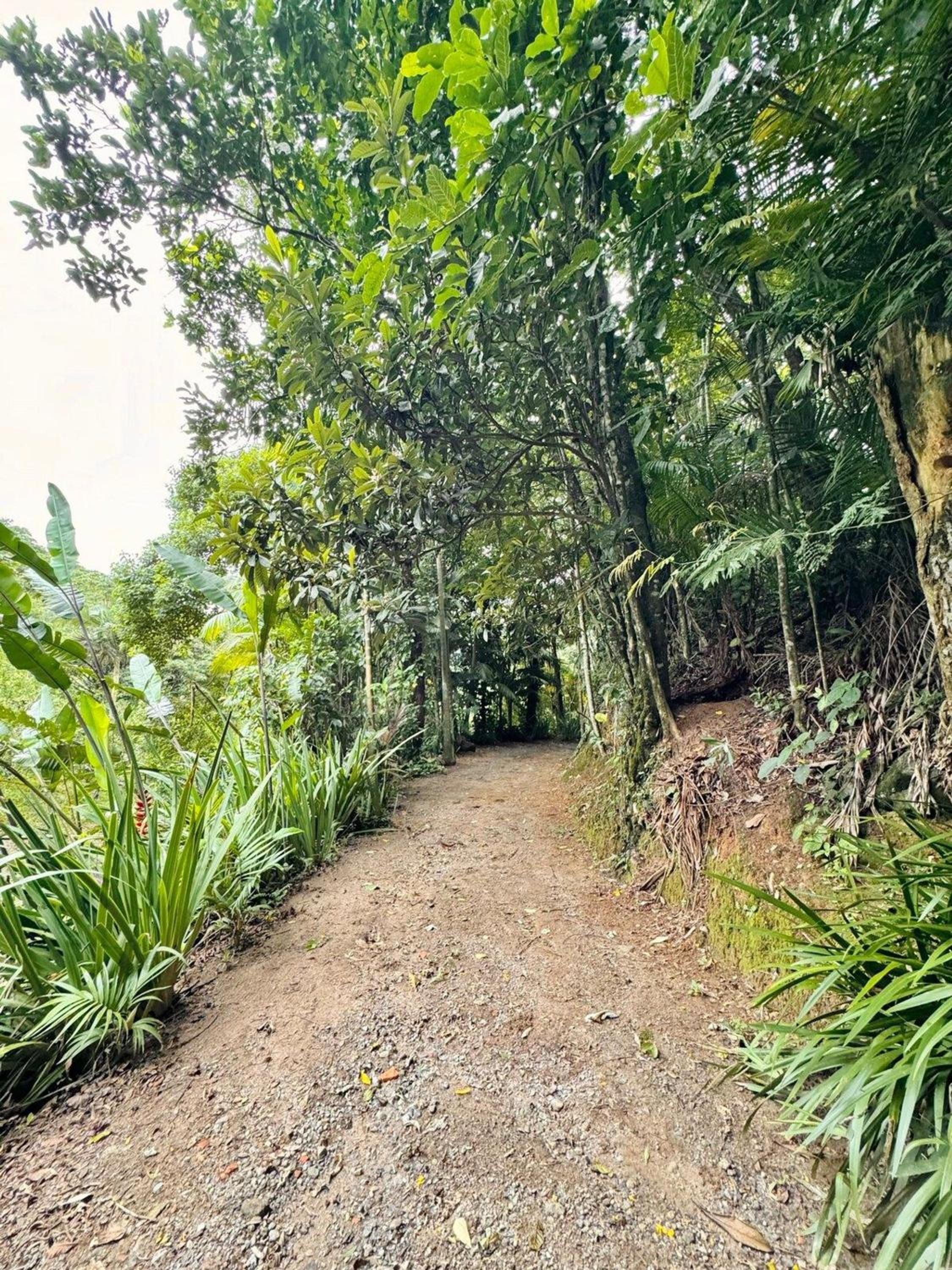 Natureza e conforto em São Pedro da Serra