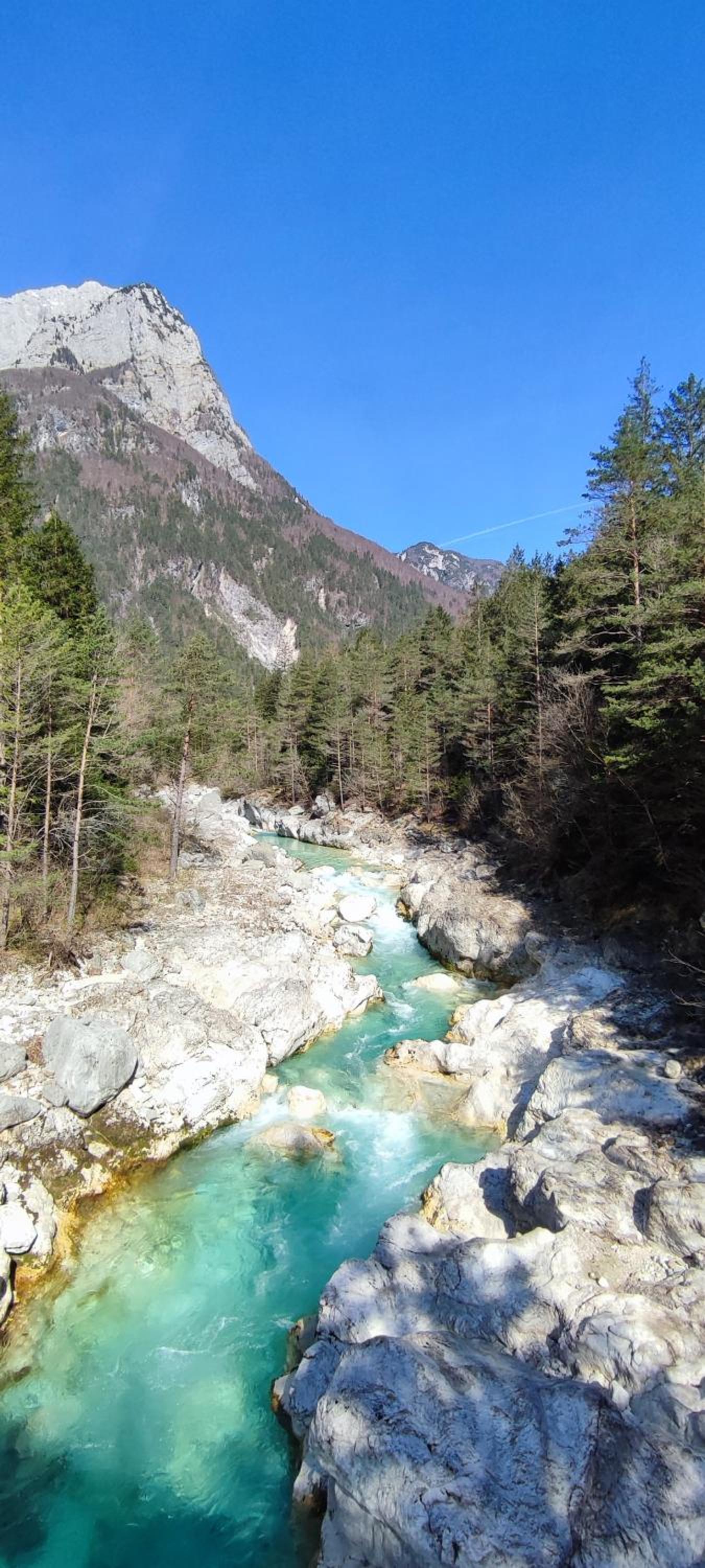 Photo 45
