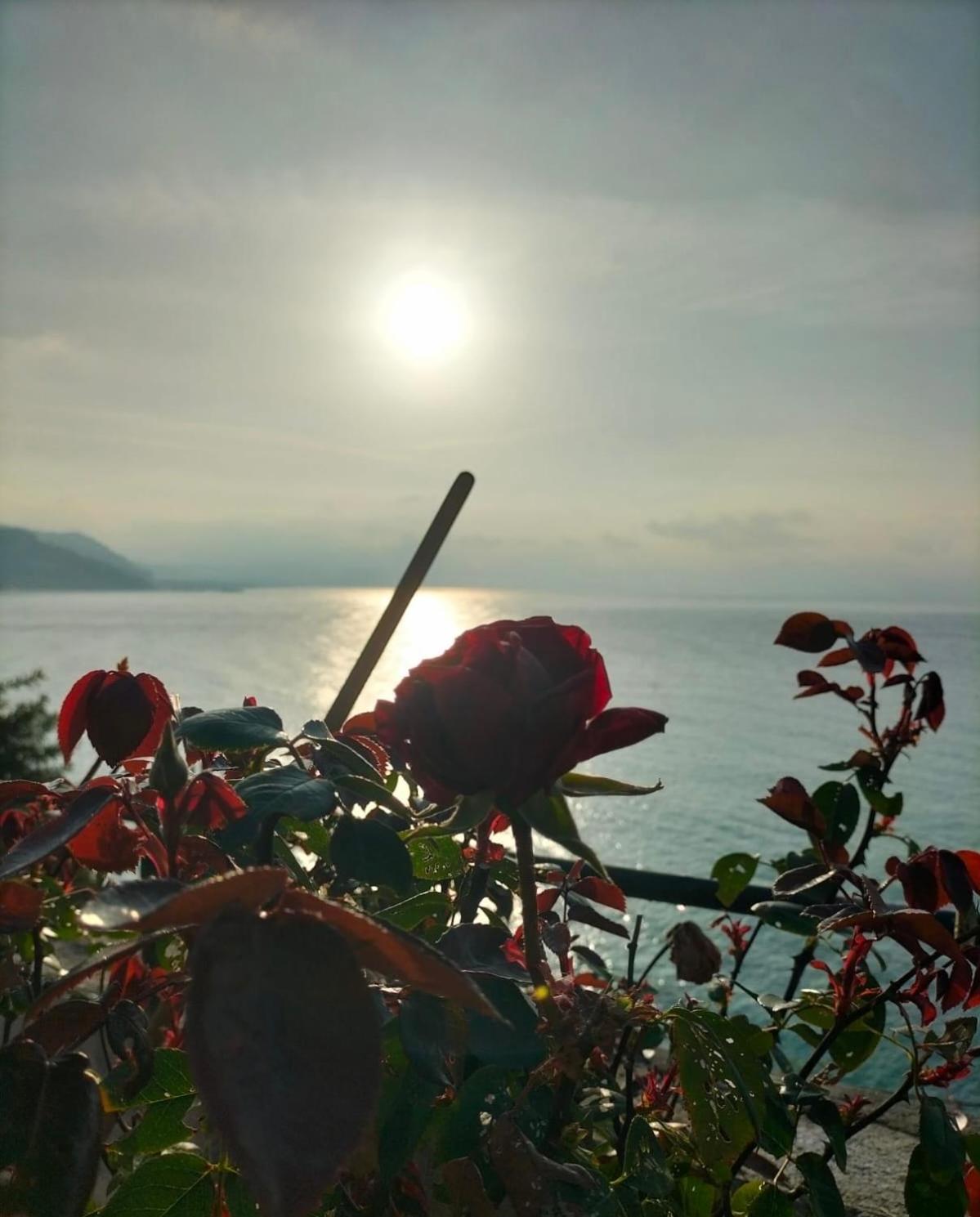 Appartamento un mare di fiori view 3