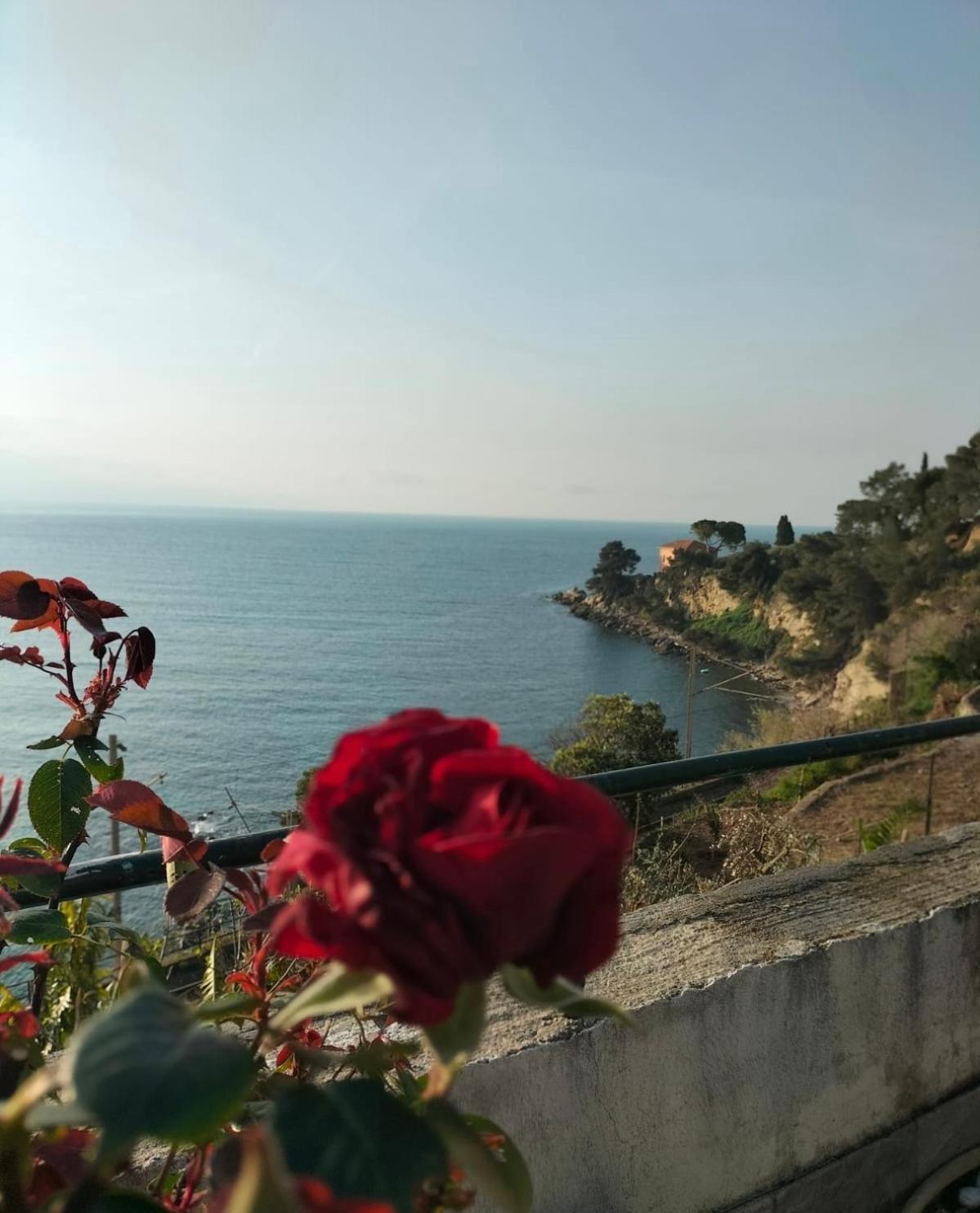 Appartamento un mare di fiori view 4
