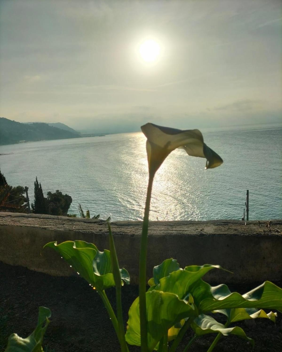 Appartamento un mare di fiori view 5