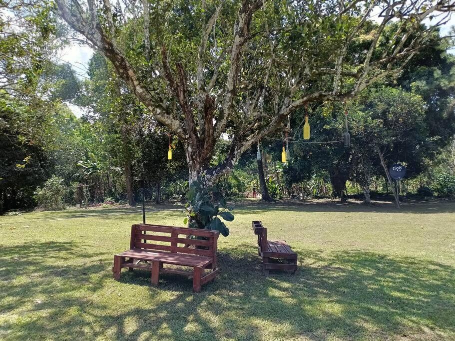 La Amistad agrotourism farm view 5