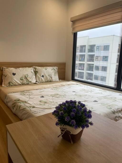 Oceanhomes- Studio S109 view 4