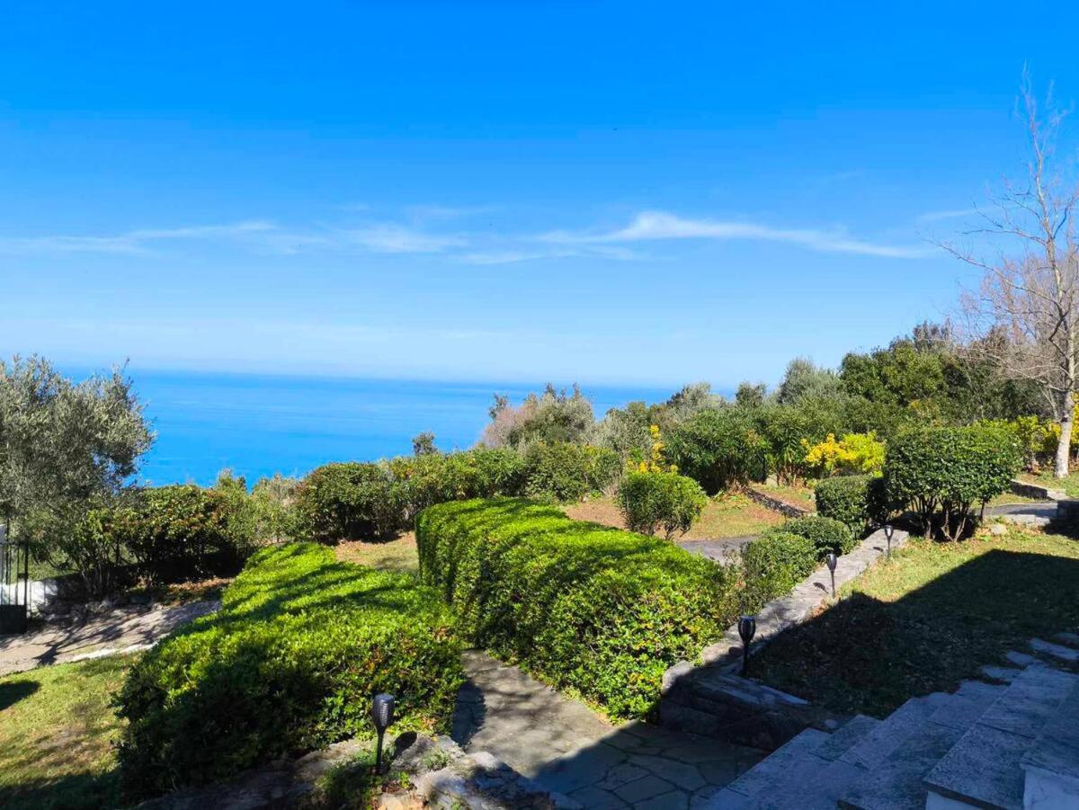 Aphrodite 's cottage view 2