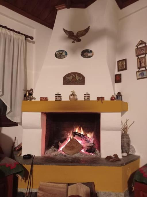 Photo 41
