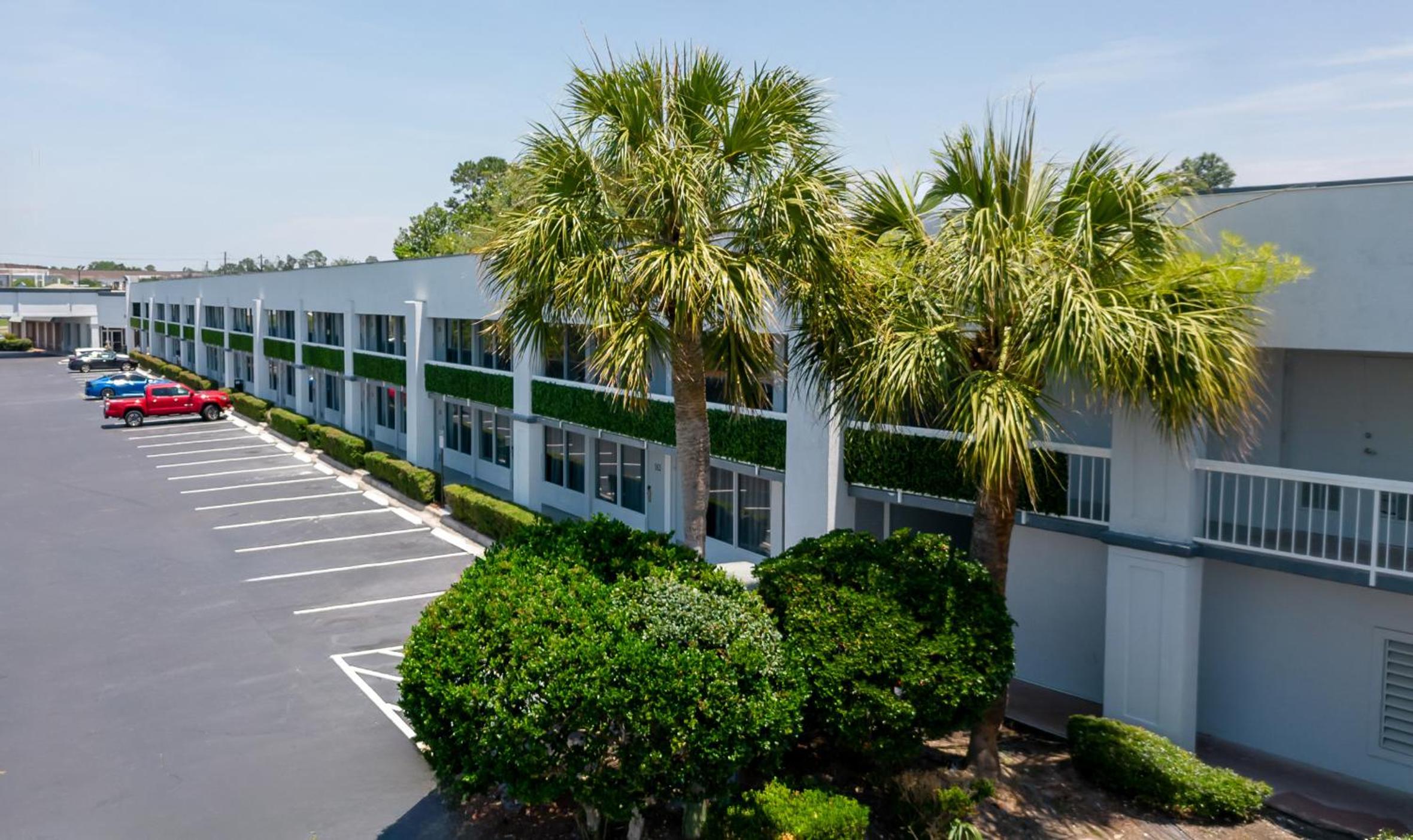 Oneway Savannah, Φωτογραφία 33