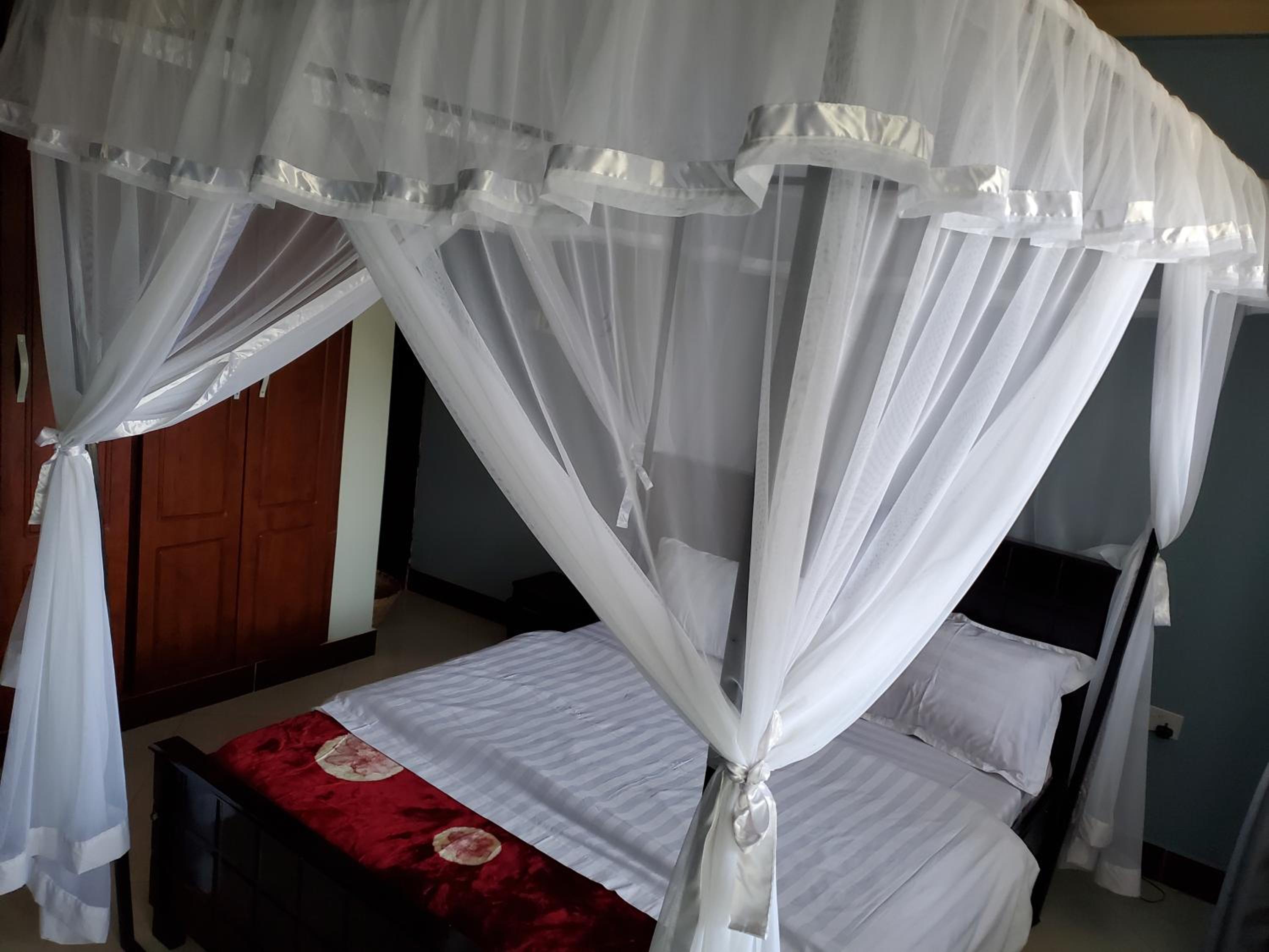 Bigodi Community Homestay view 3