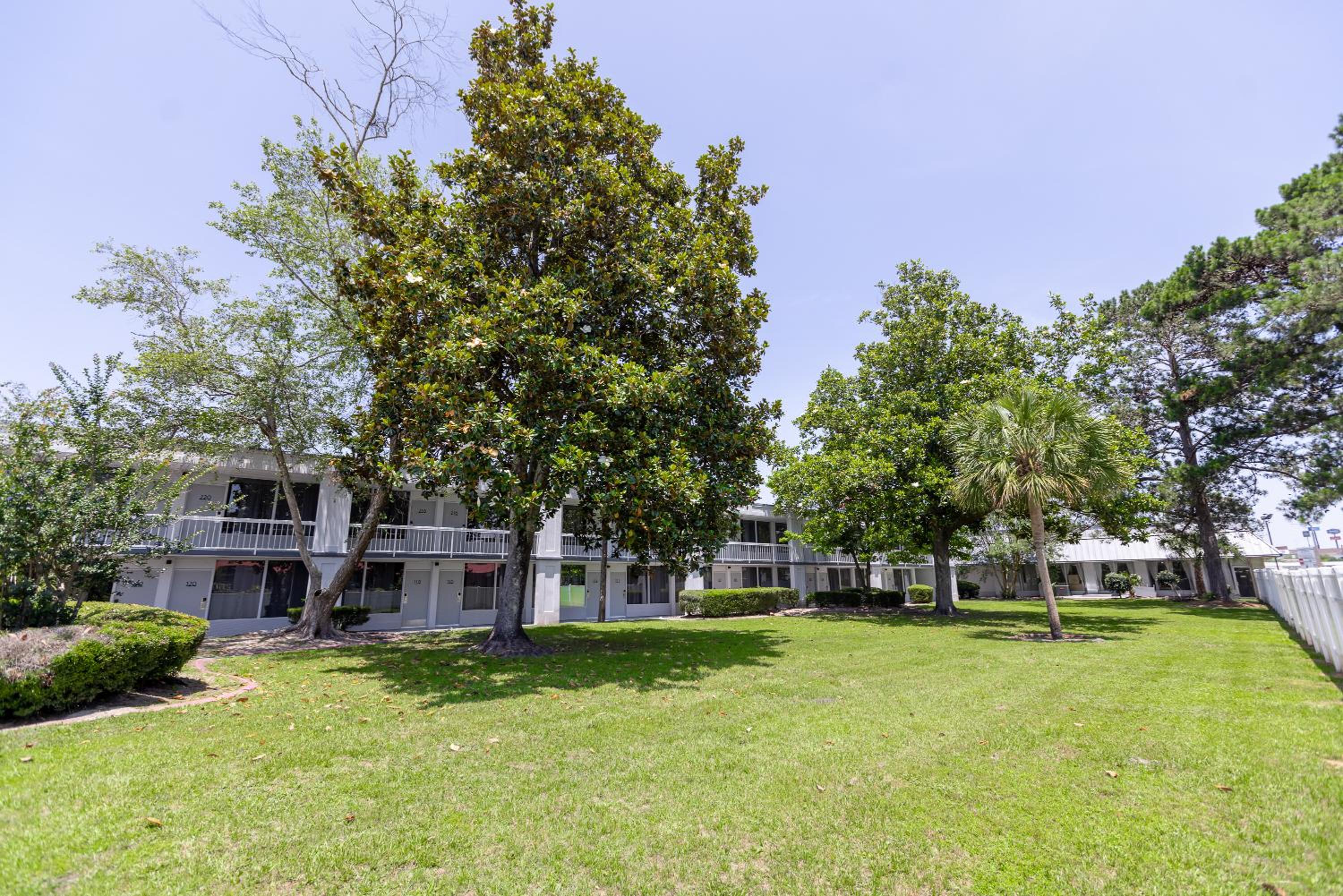 Oneway Savannah, Φωτογραφία 21