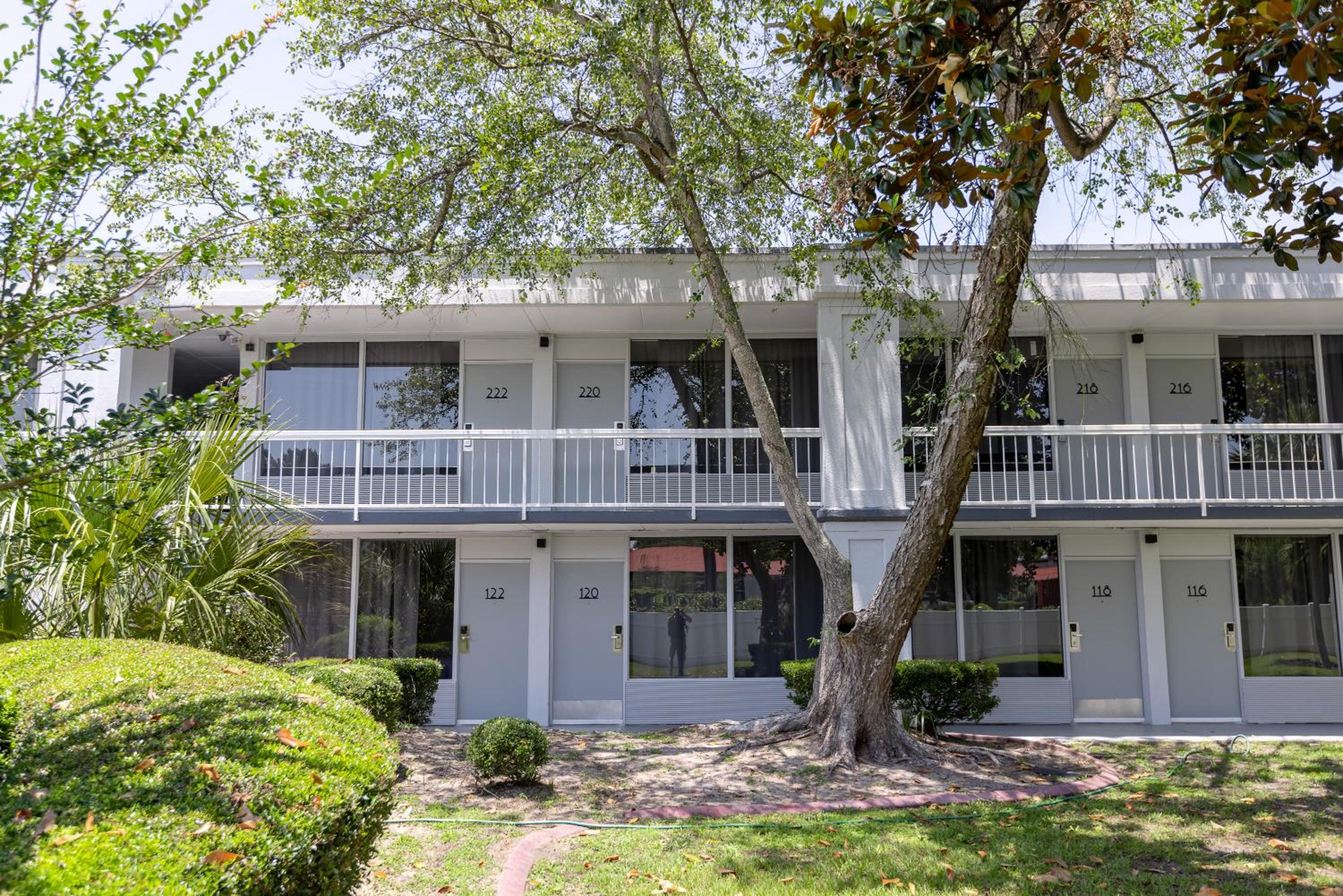 Oneway Savannah, Φωτογραφία 26