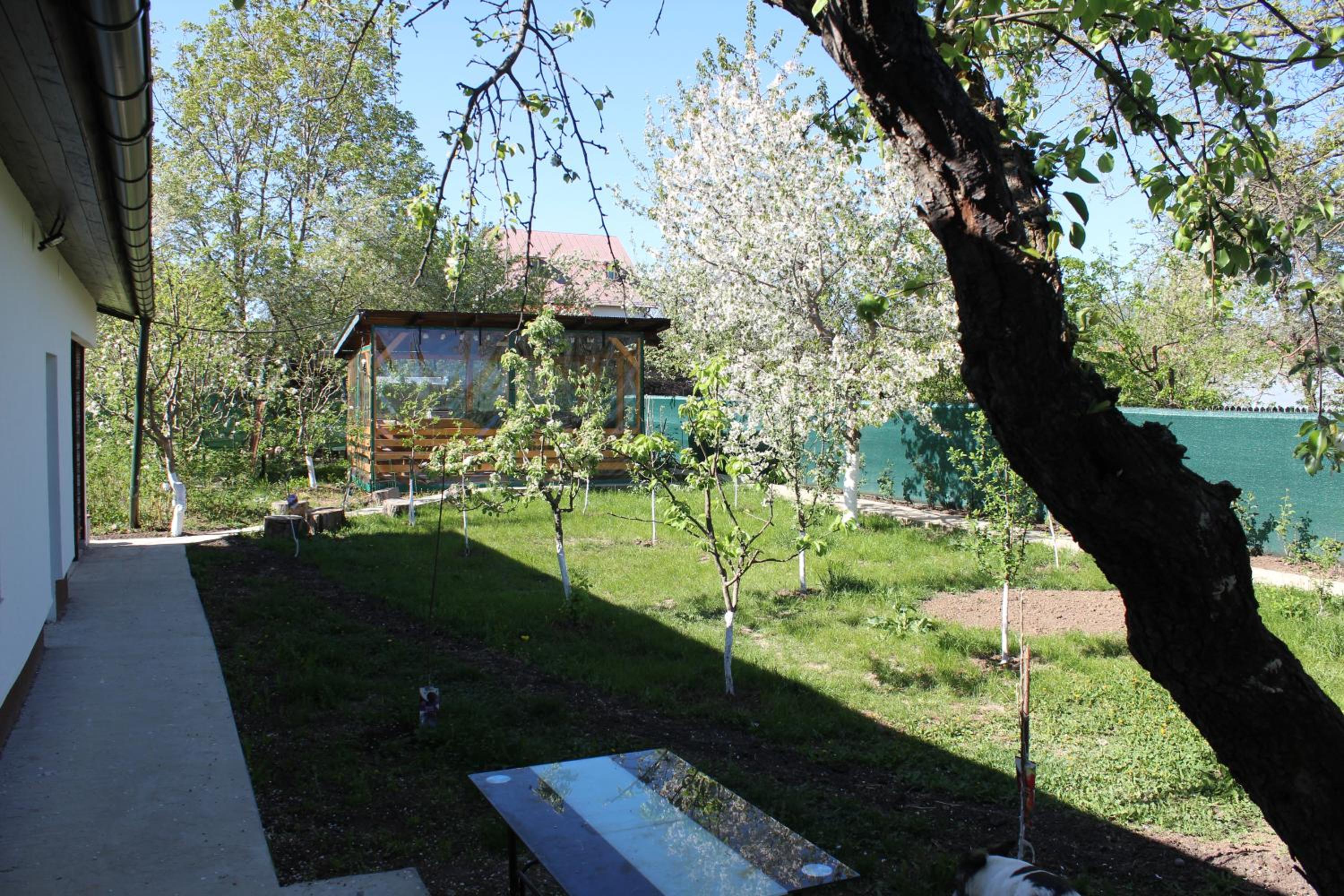 Căsuța artiștilor