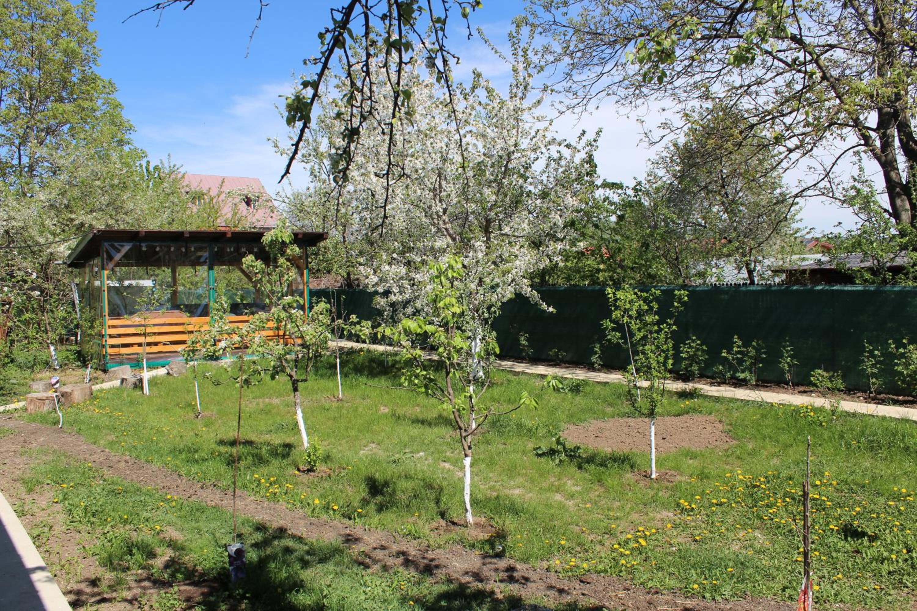 Căsuța artiștilor