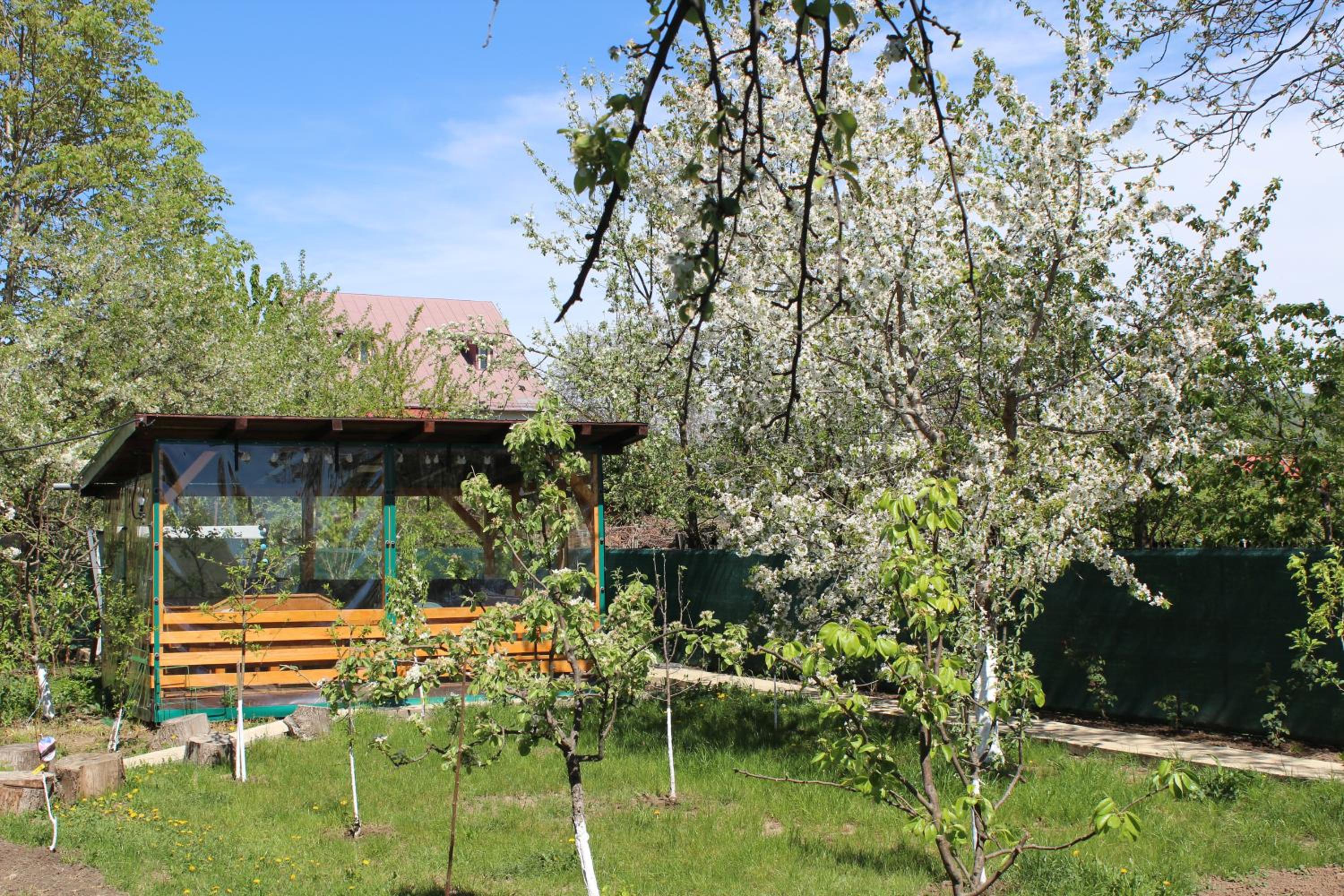 Căsuța artiștilor