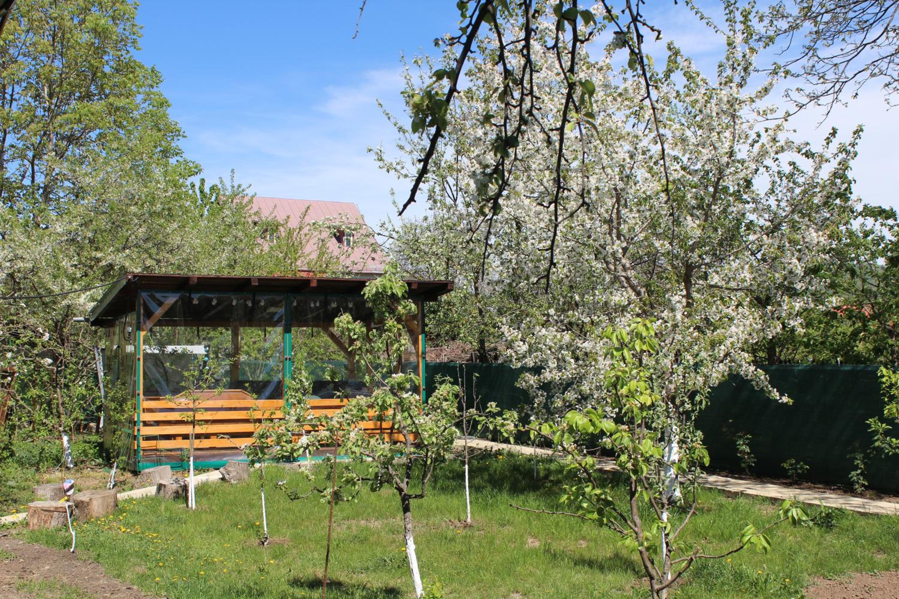 Căsuța artiștilor