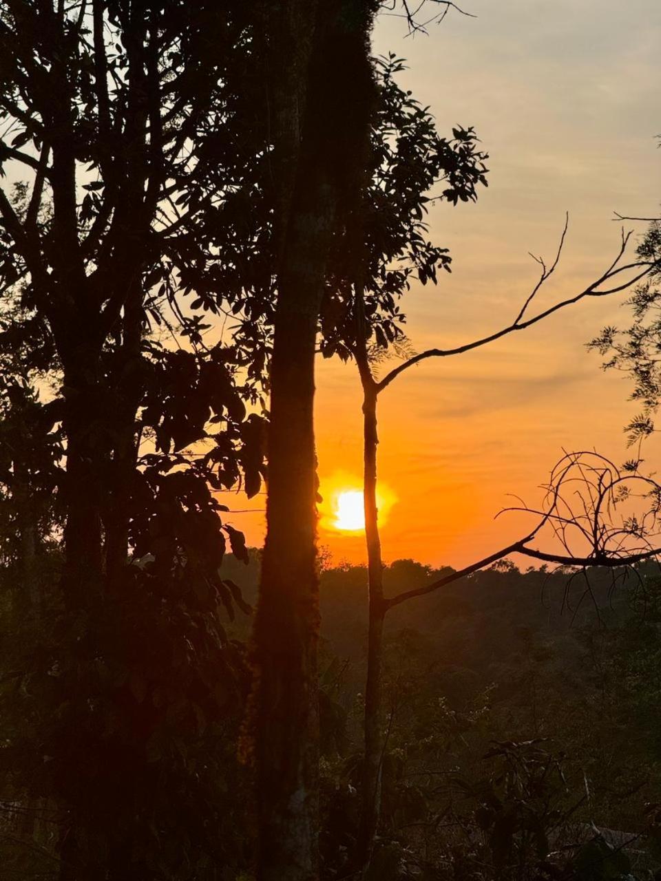 Shrenya Orchidz-Coorg Nature Stay view 3