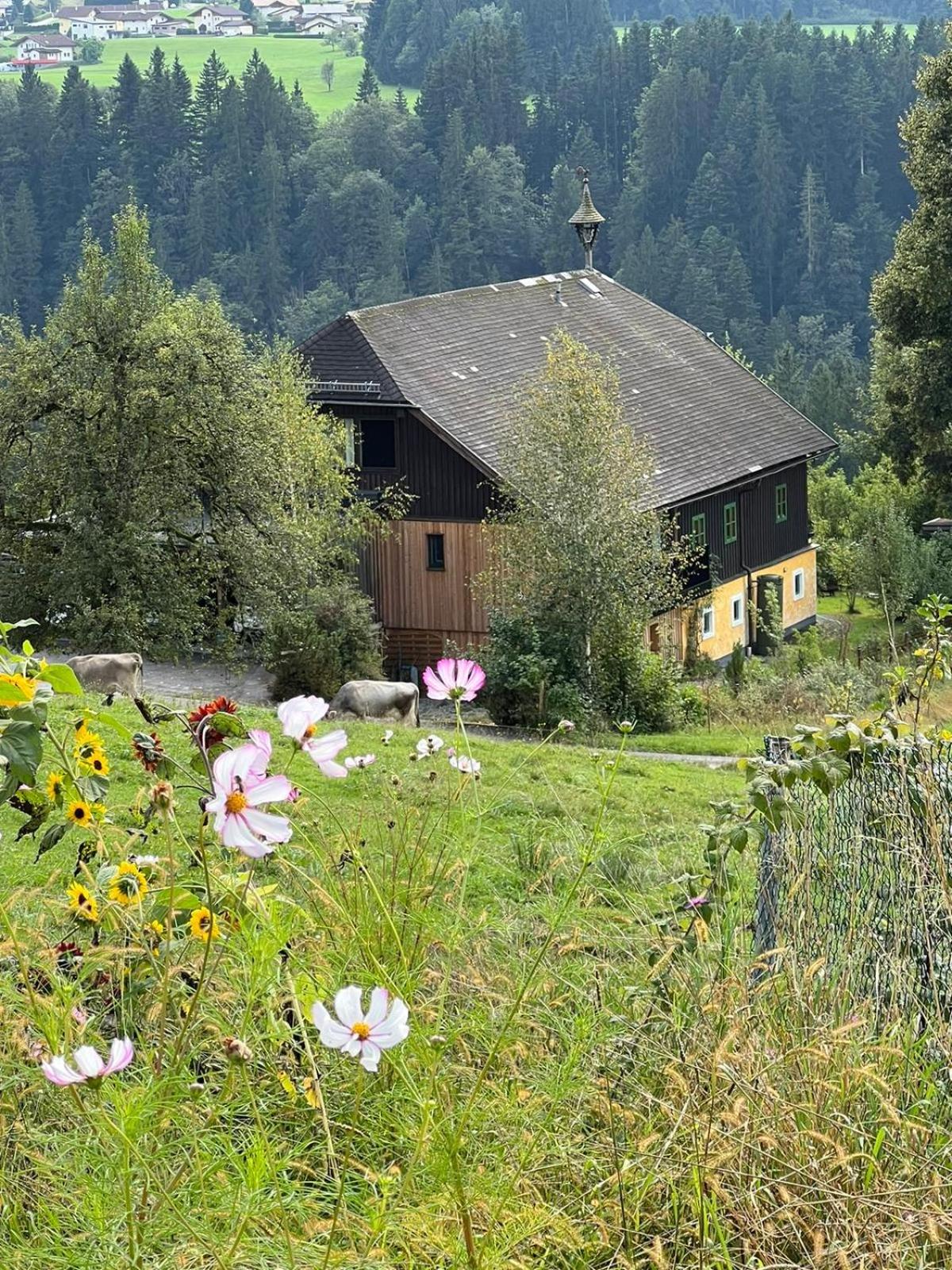 Apartment Stillleben Luxus für die Seele
