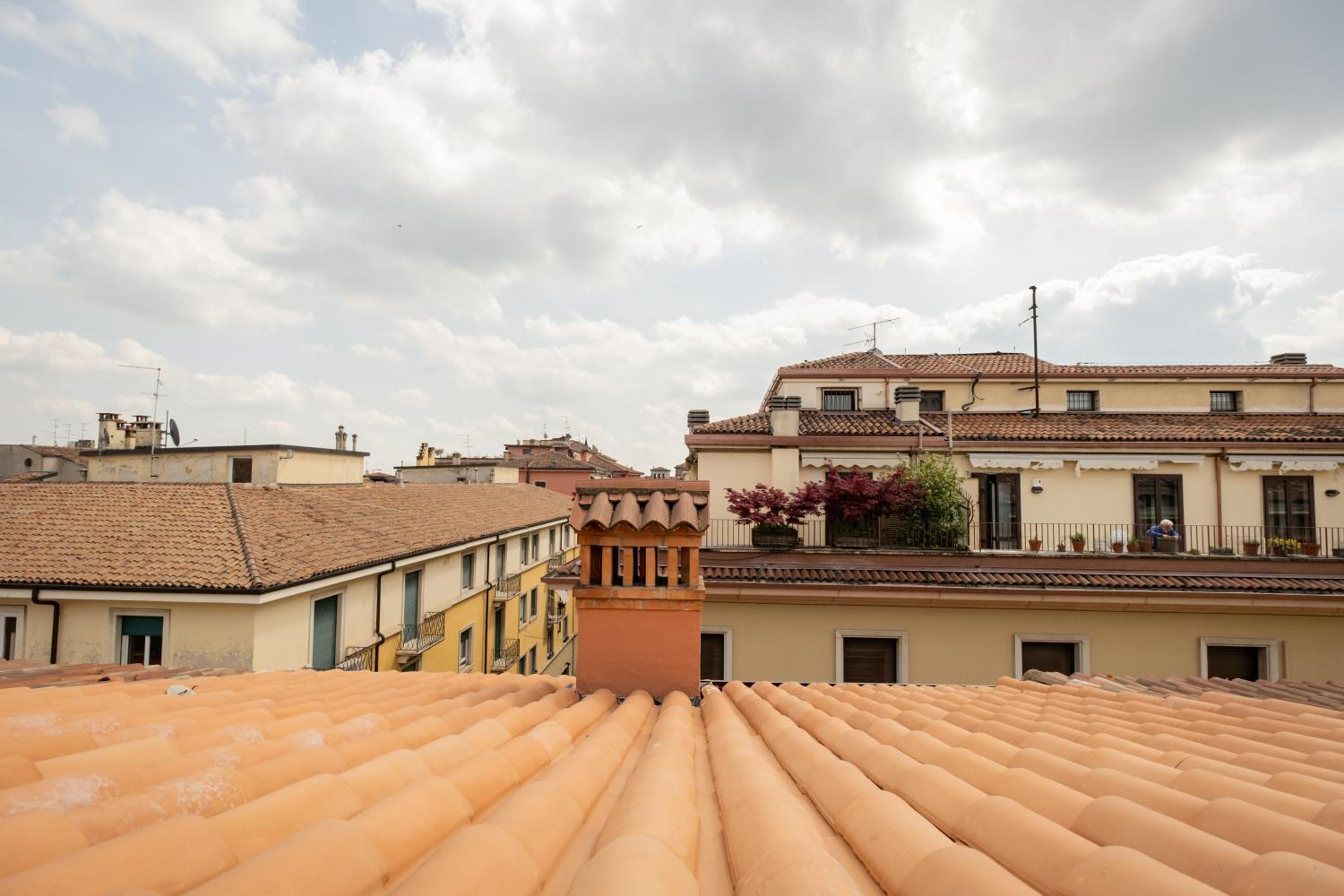 roof