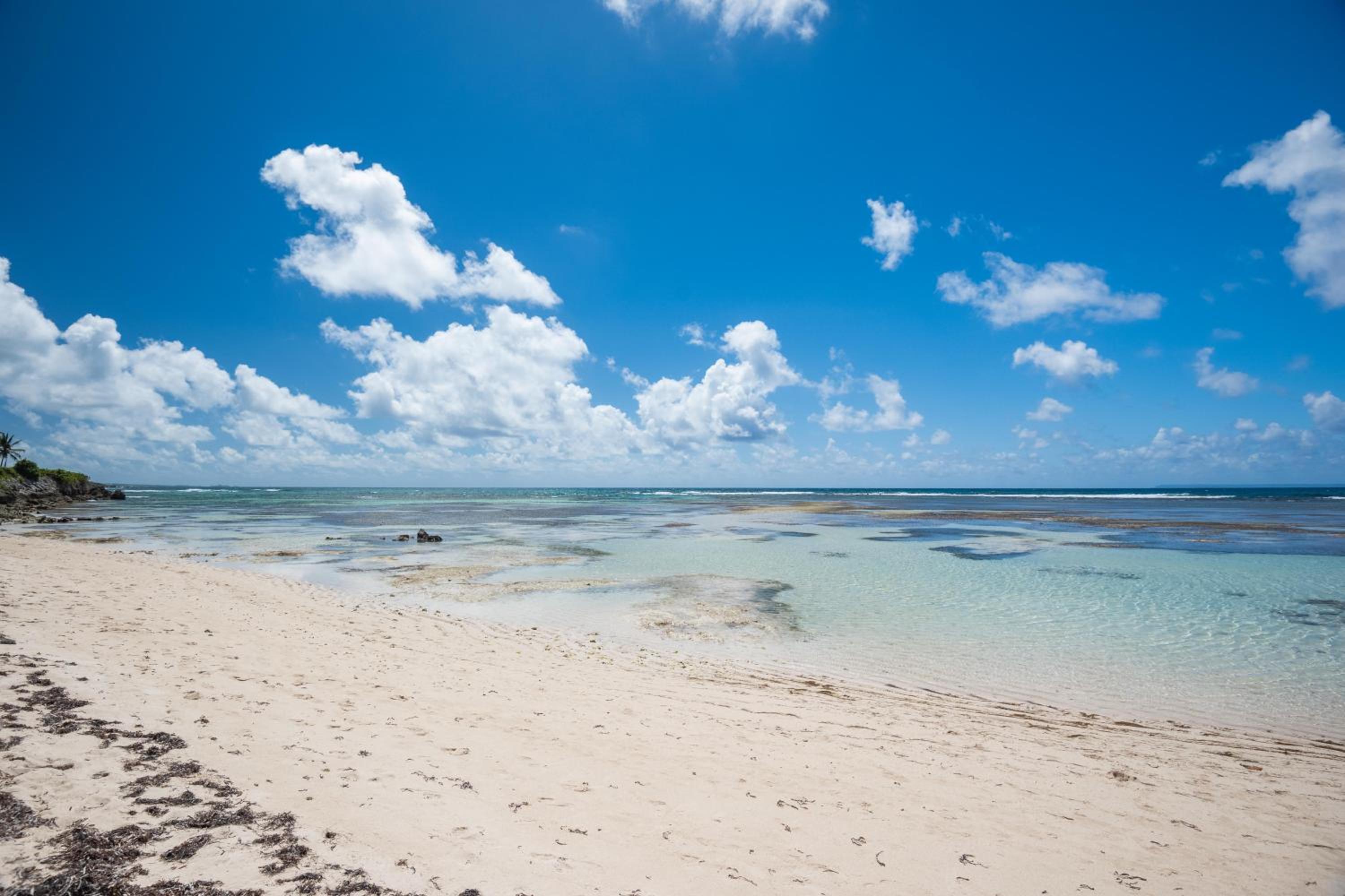 Le Flamboyant Tropical view 4