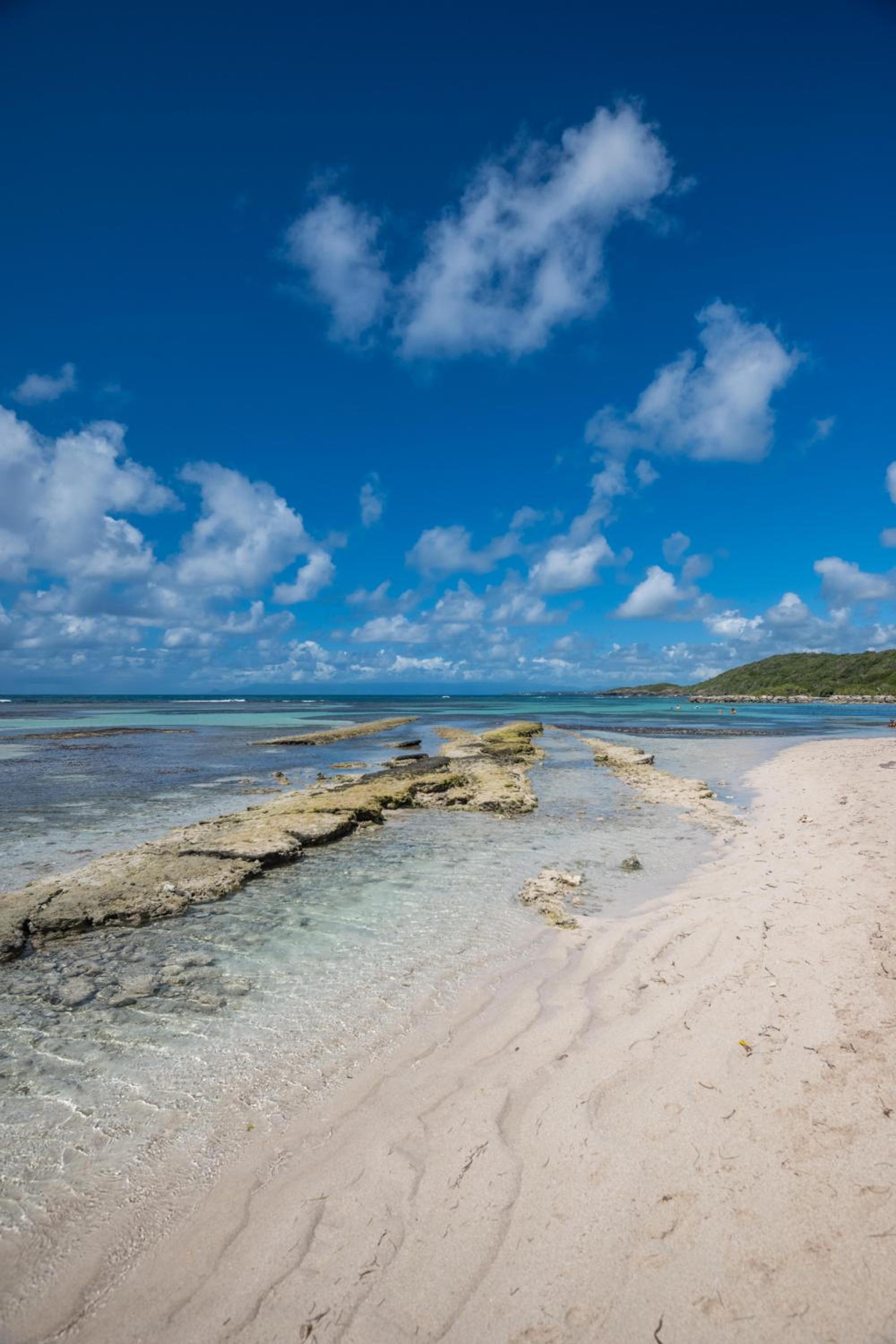 Le Flamboyant Tropical view 5