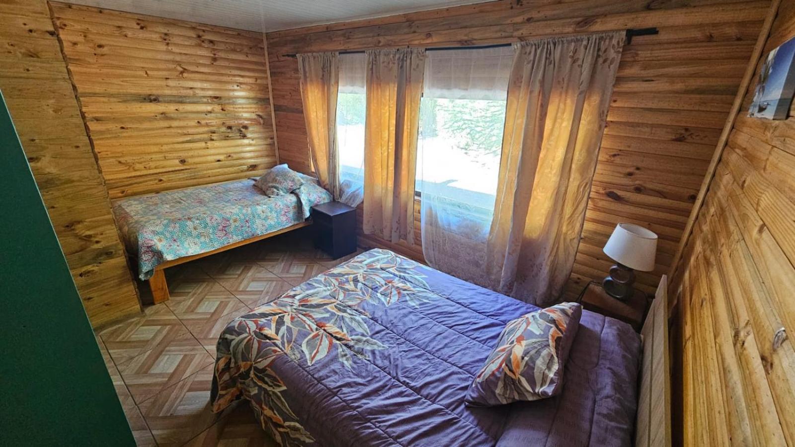 Las palmeras de Colbún