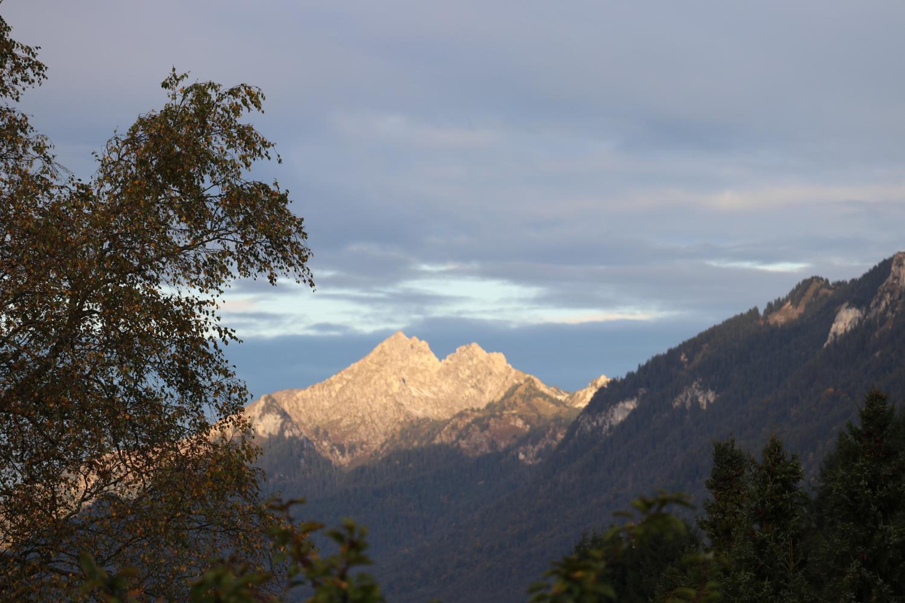 Zur alten Schmiede