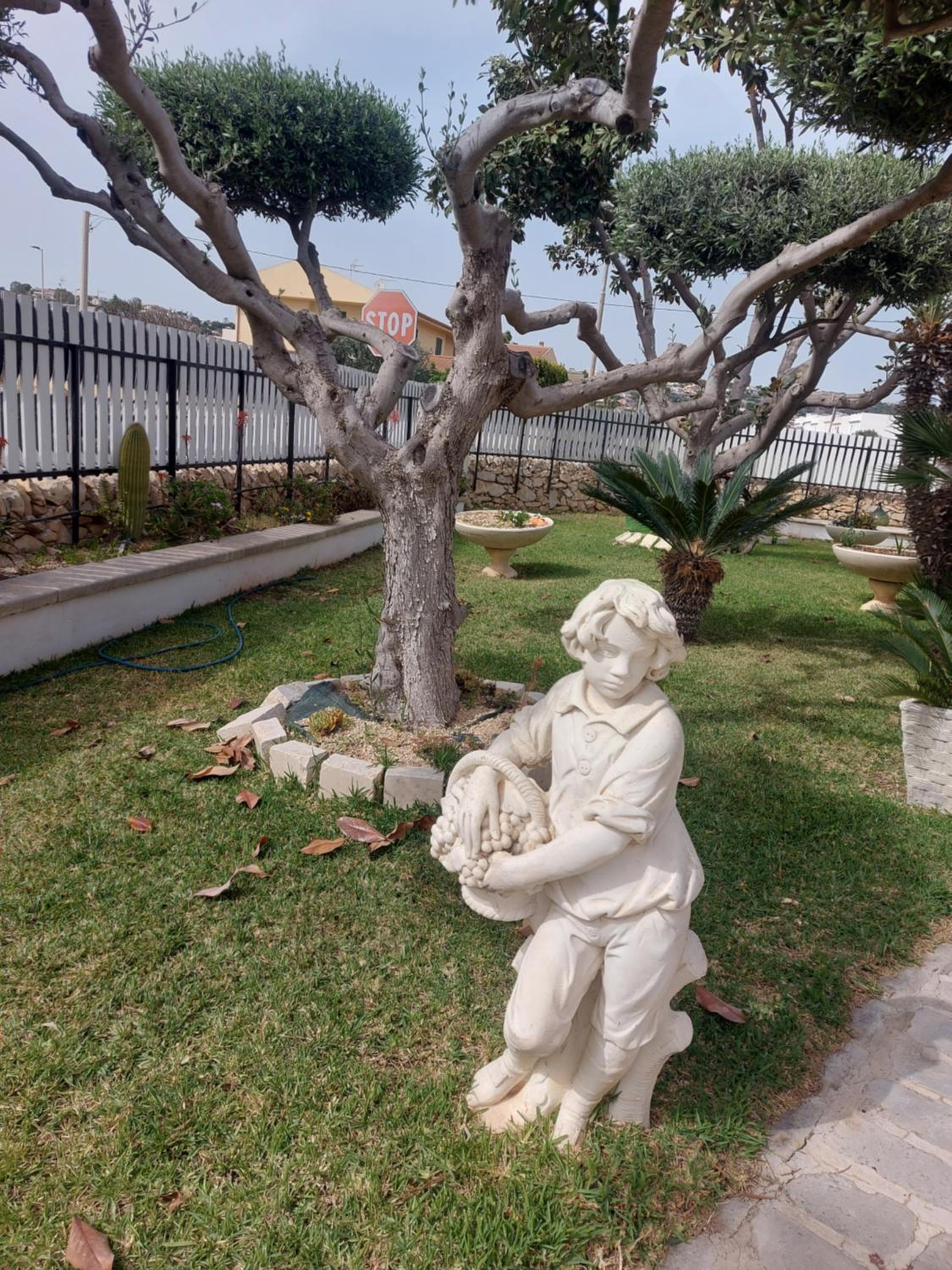 Photo 44