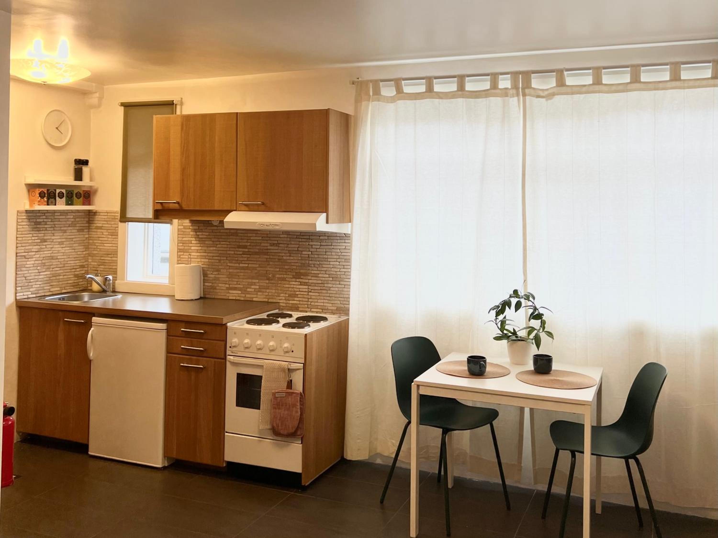 Reykjavik city center - Privat studio apartment view 5