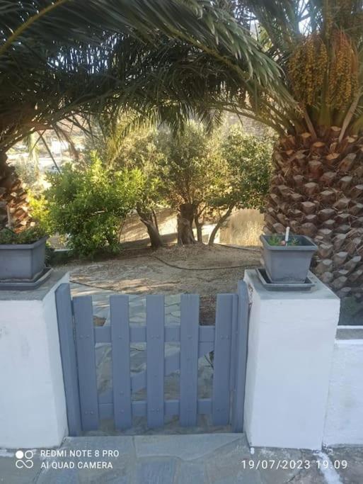 Starfish Villa