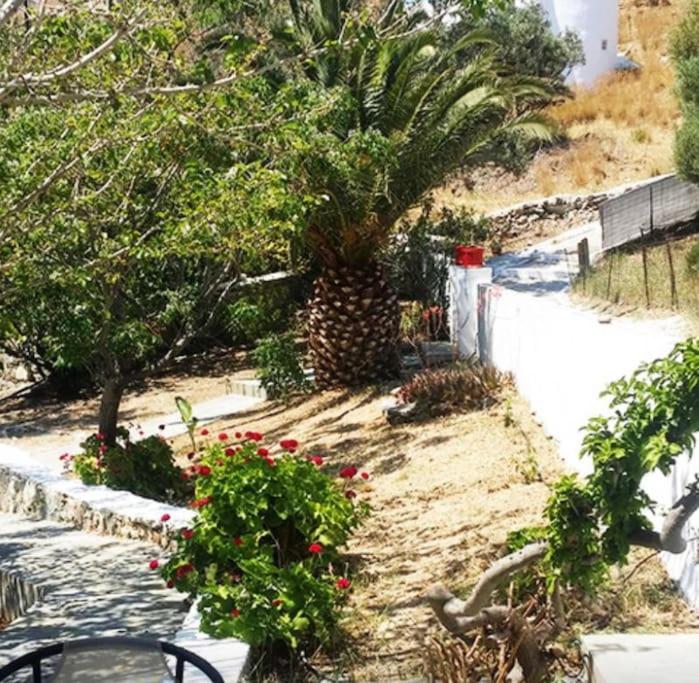 Starfish Villa