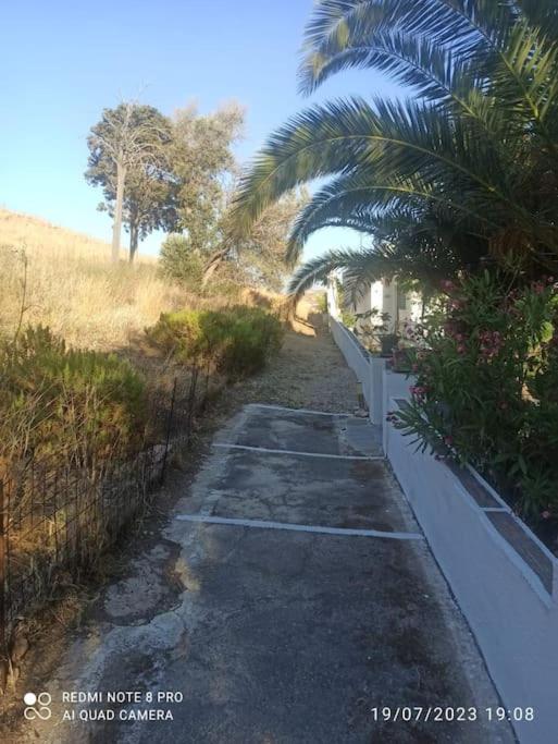 Starfish Villa