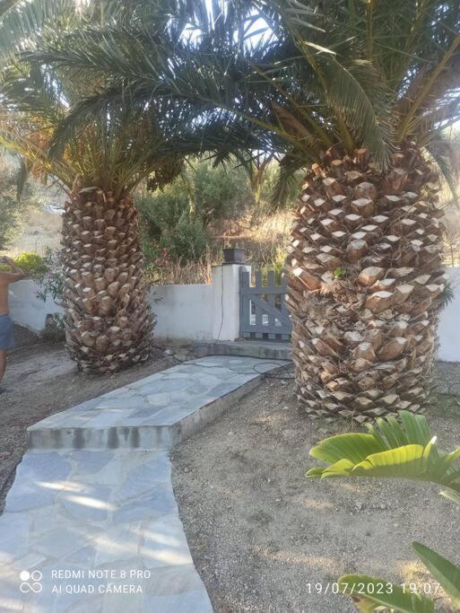 Starfish Villa