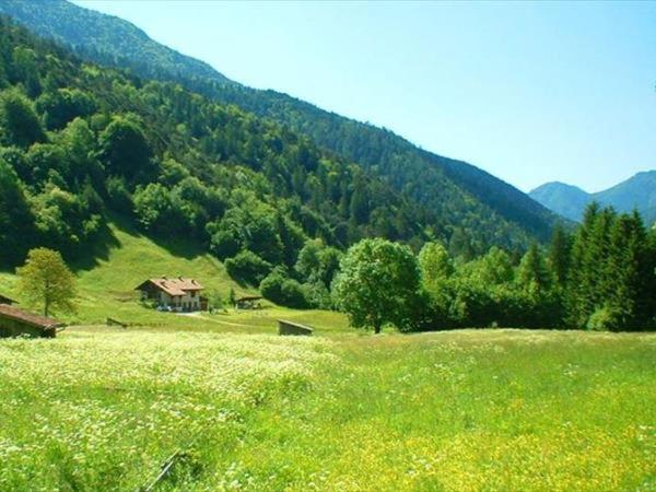 Chalet Beatrice