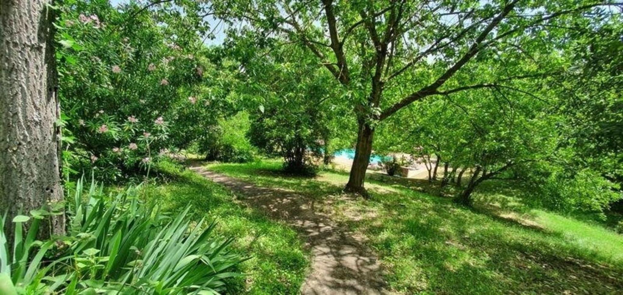 Ferienhaus mit Privatpool für 14 Personen ca 500 qm in San Miniato, Toskana Provinz Florenz view 5