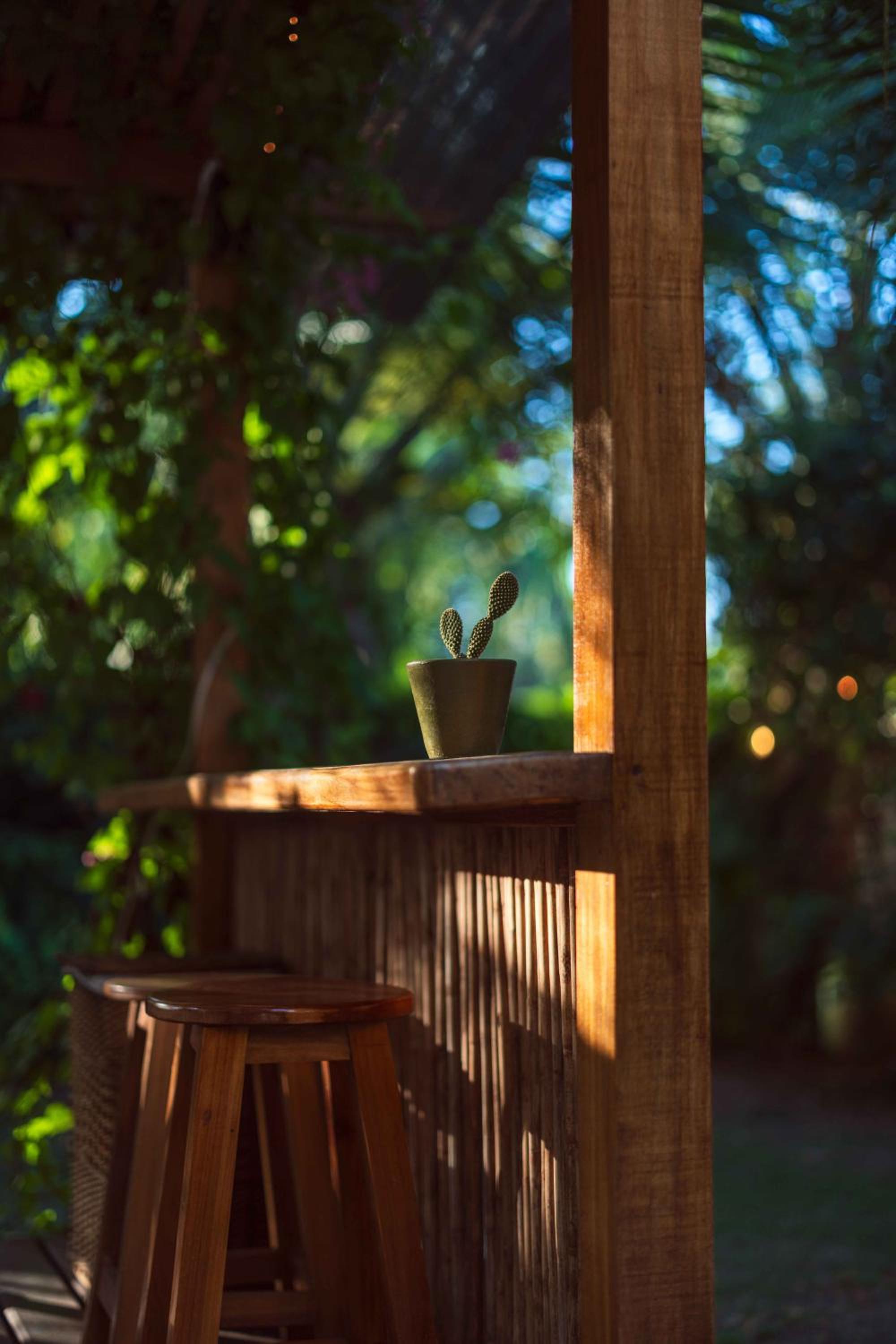 Black Bamboo