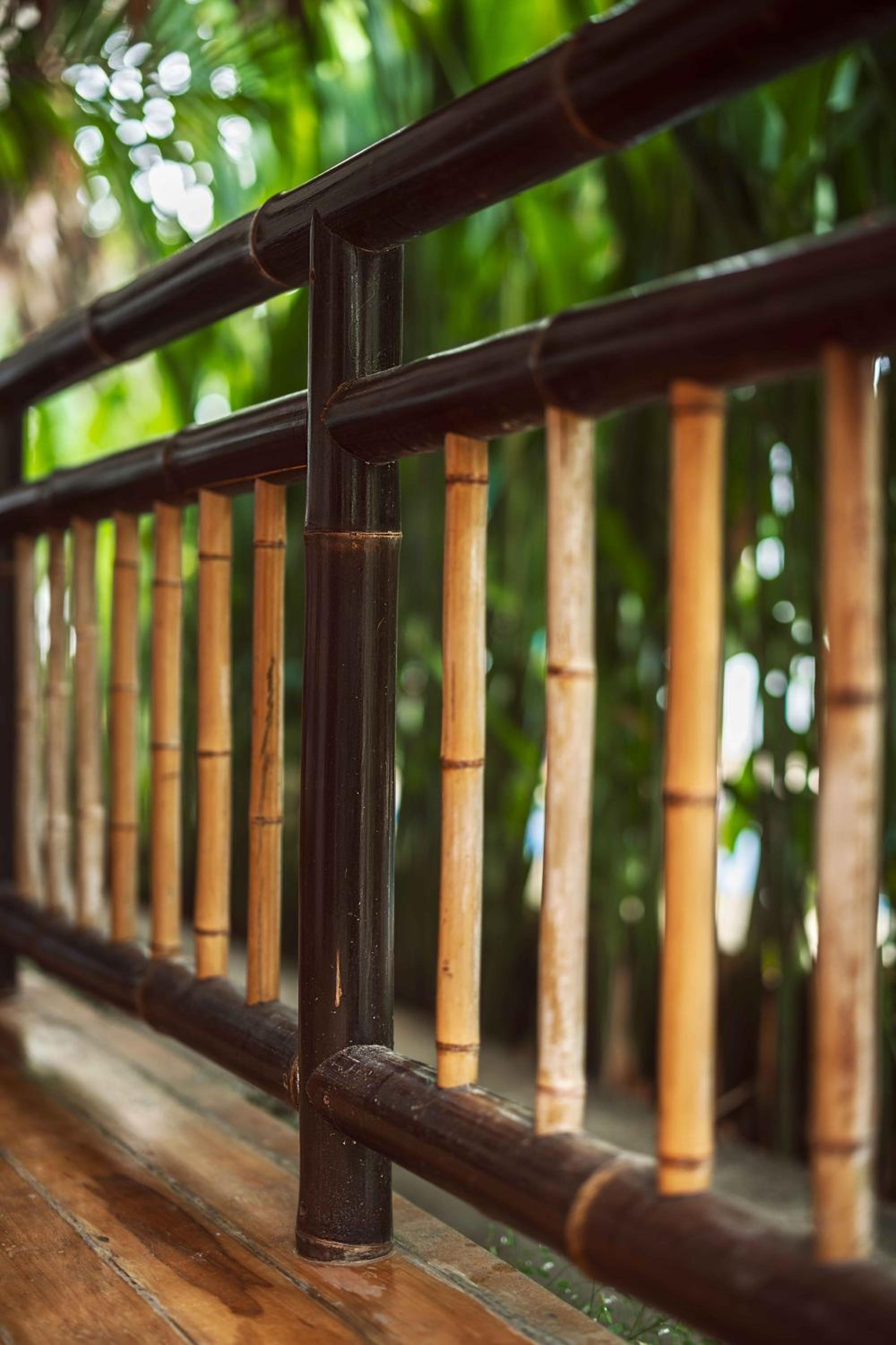 Black Bamboo