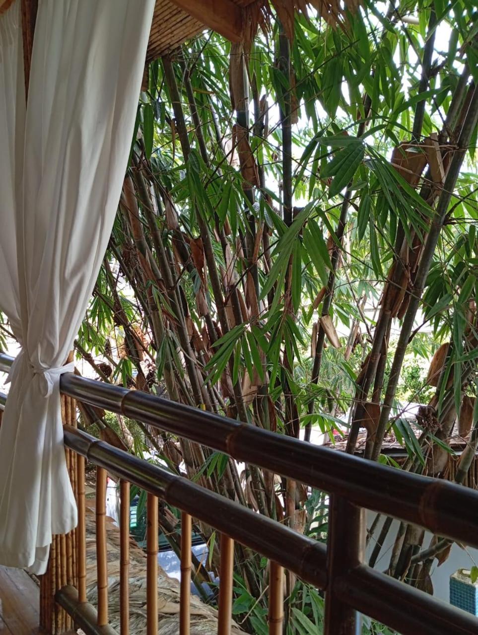 Black Bamboo