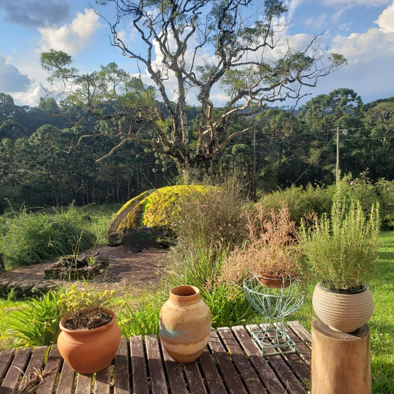 Casa Pedra Luna Gonçalves