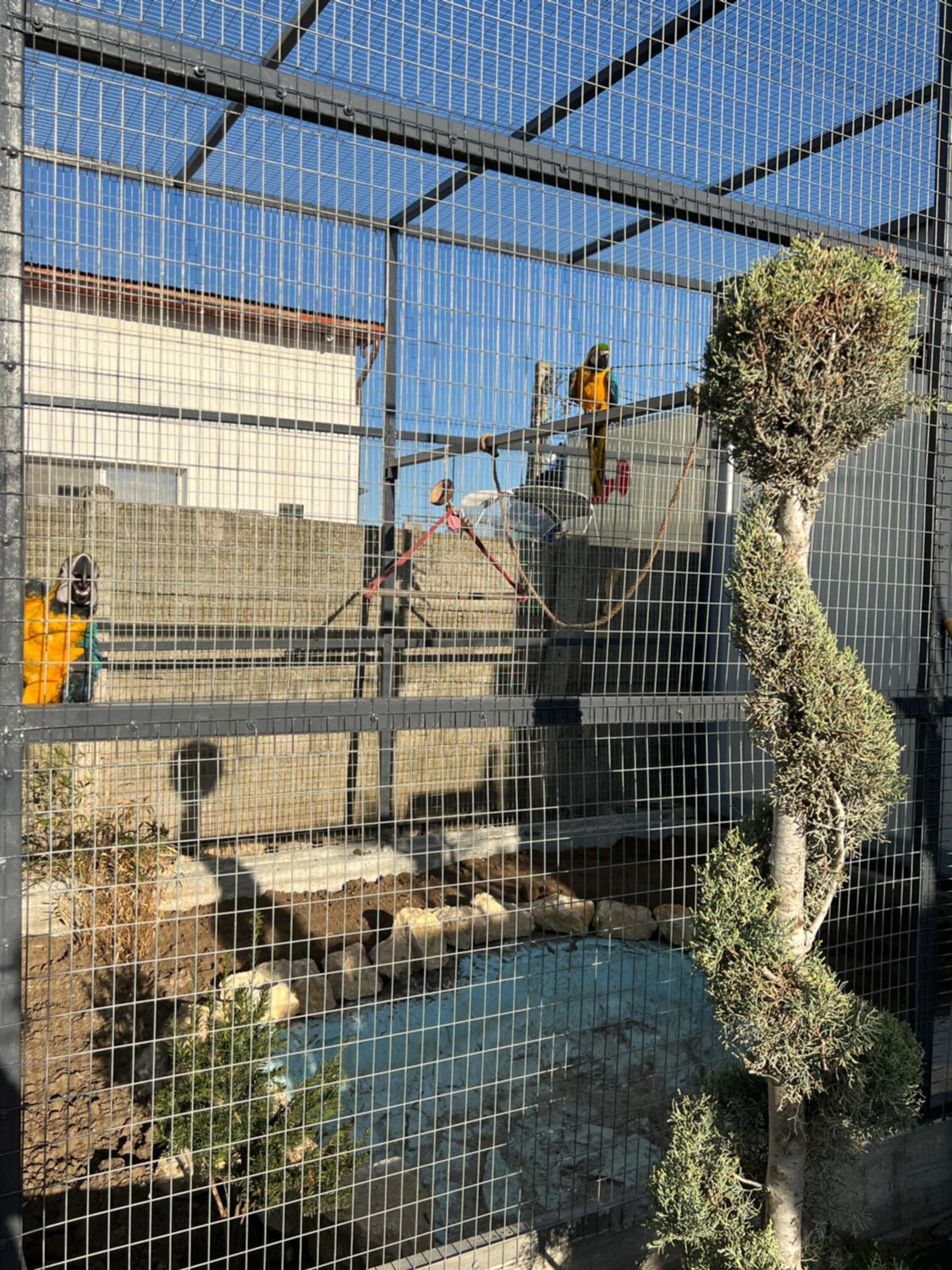 Photo 46